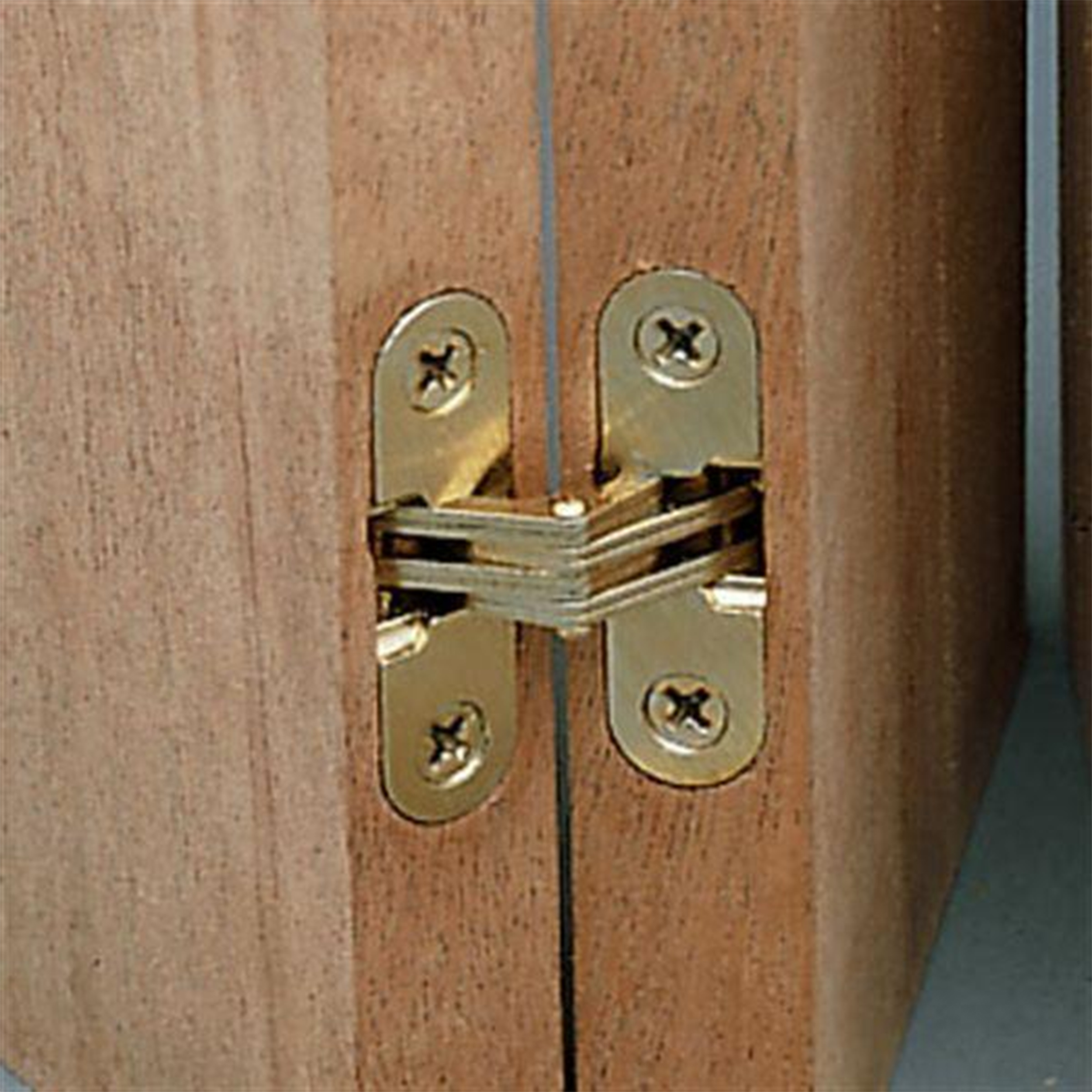 Invisible Hinge, 3/8" X 1"