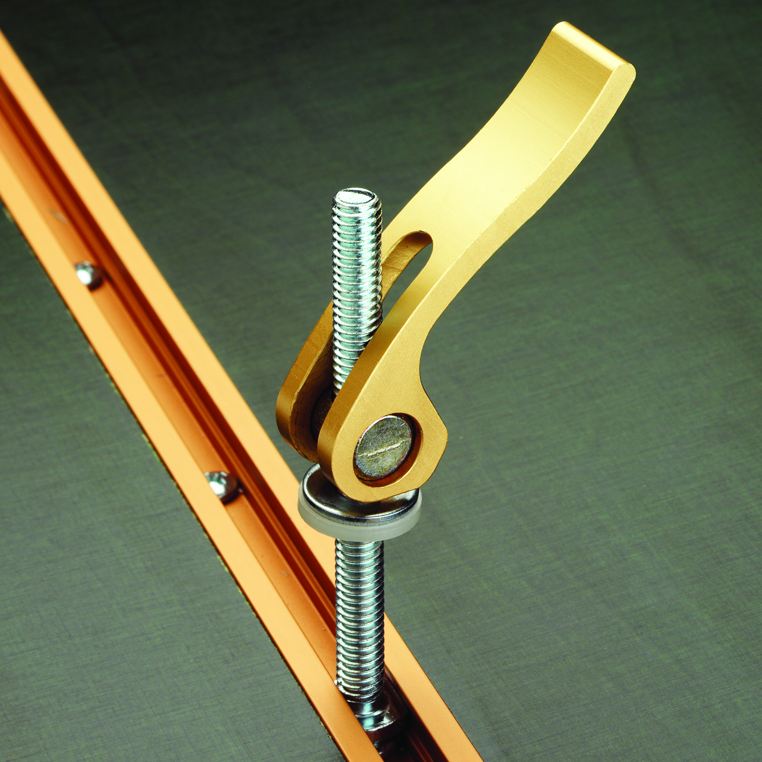 product: WoodRiver Cam Action Hold Down shown