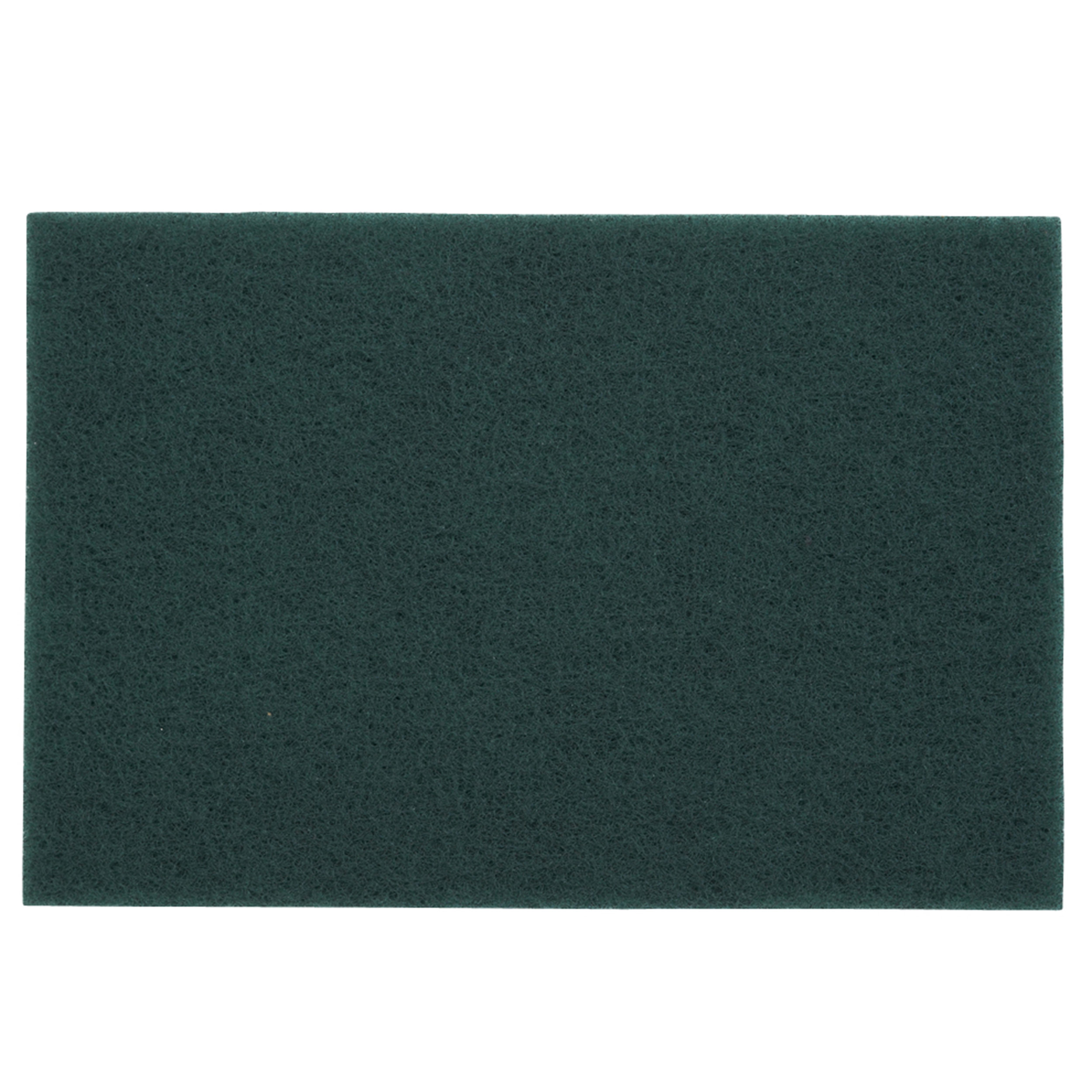 Non-woven Sanding Pad 1pc, Green, #0