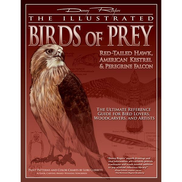 The Illustrated Birds Of Prey