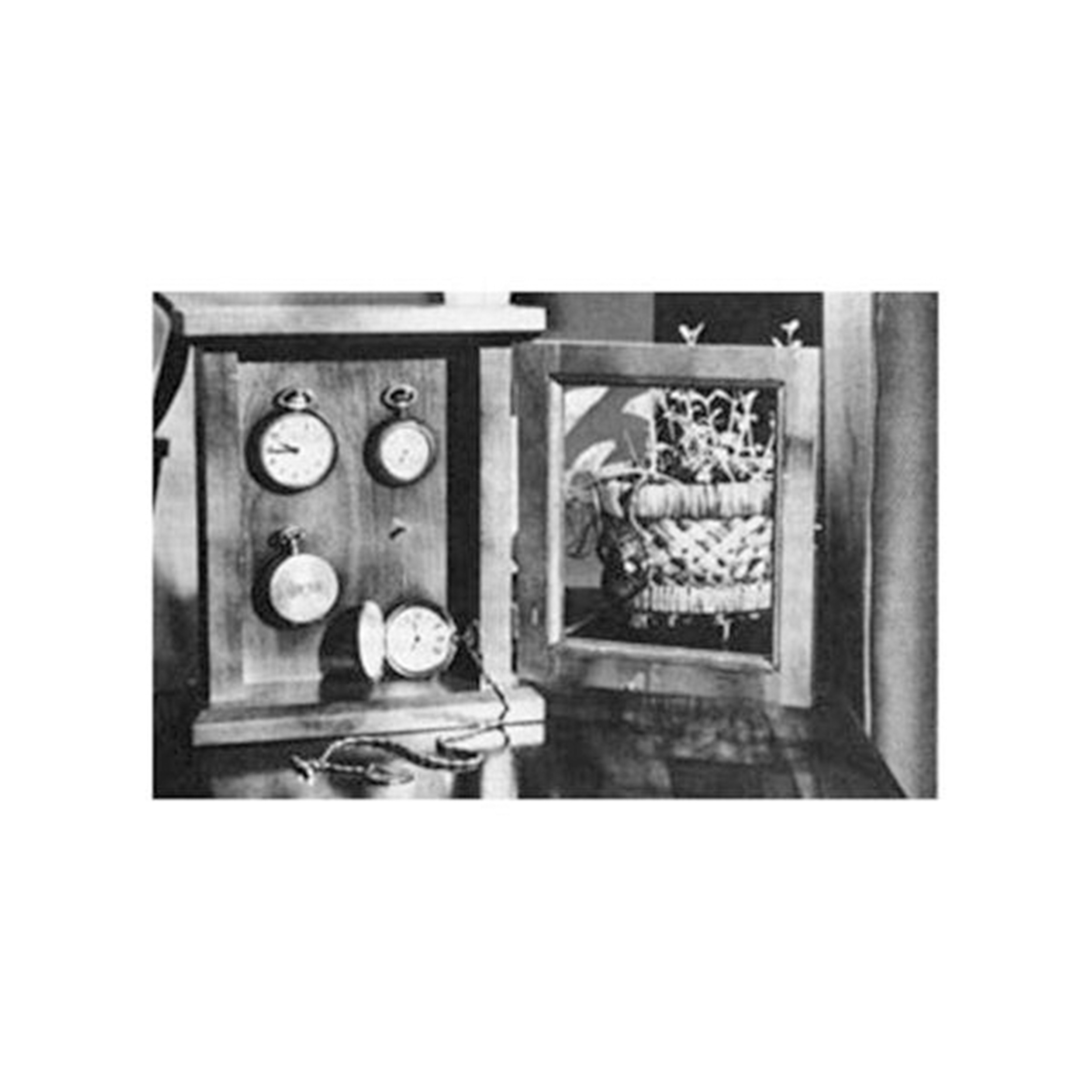product: Woodcraft Woodworking Project Paper Plan to Build Watch Display Case shown