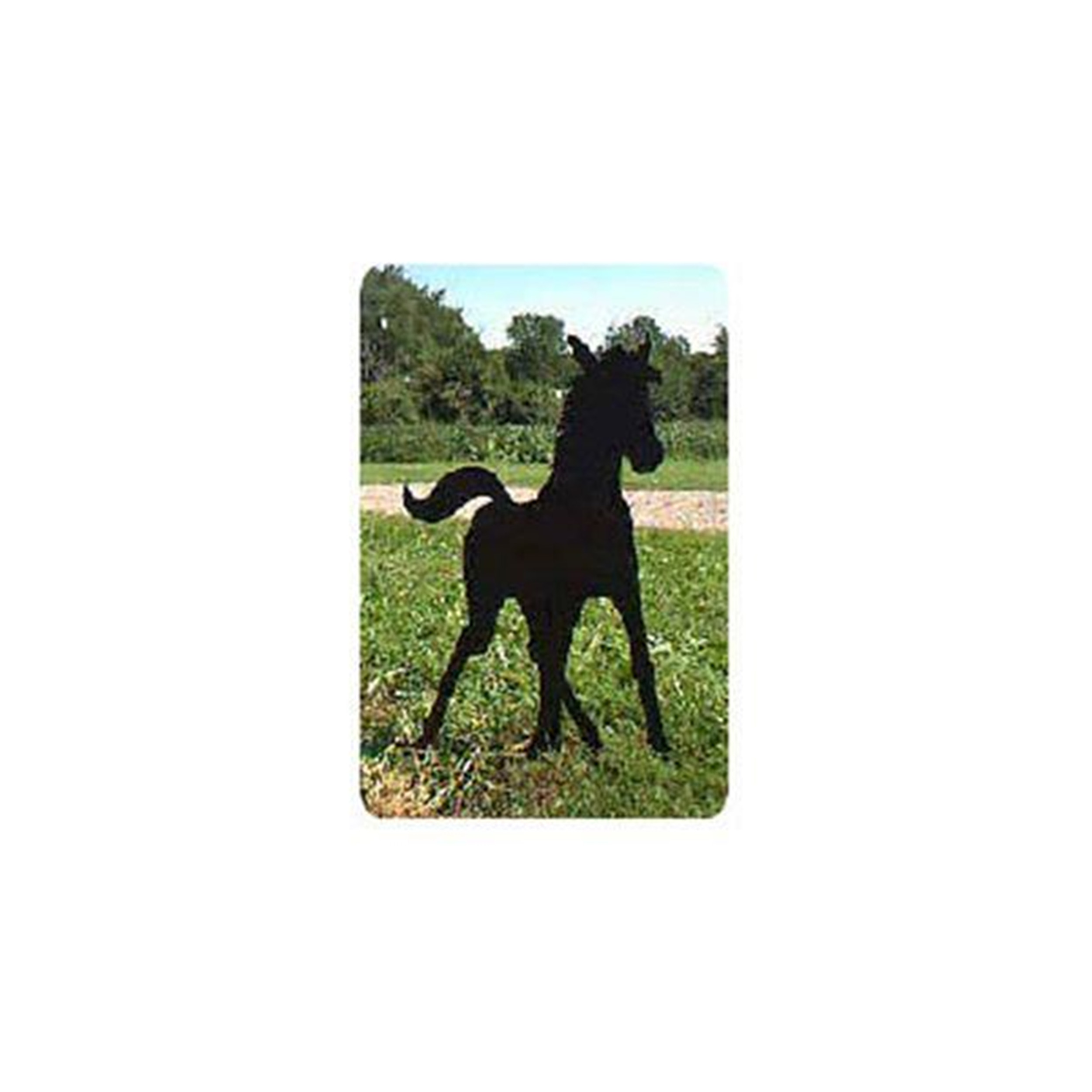 product: Woodcraft Woodworking Project Paper Plan to Build Spring Foal Shadow shown