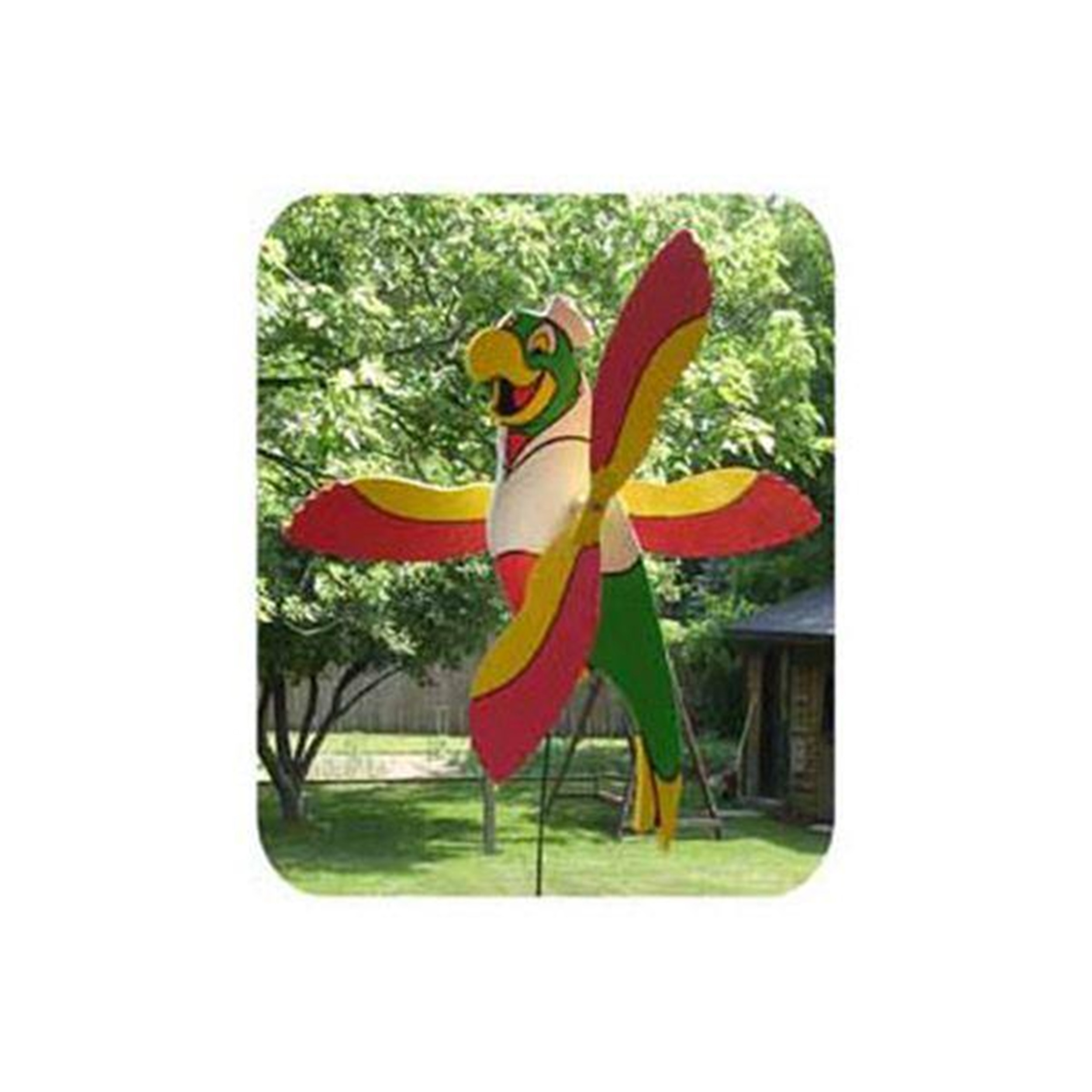 product: Woodcraft Woodworking Project Paper Plan to Build Parrot Whirligig shown