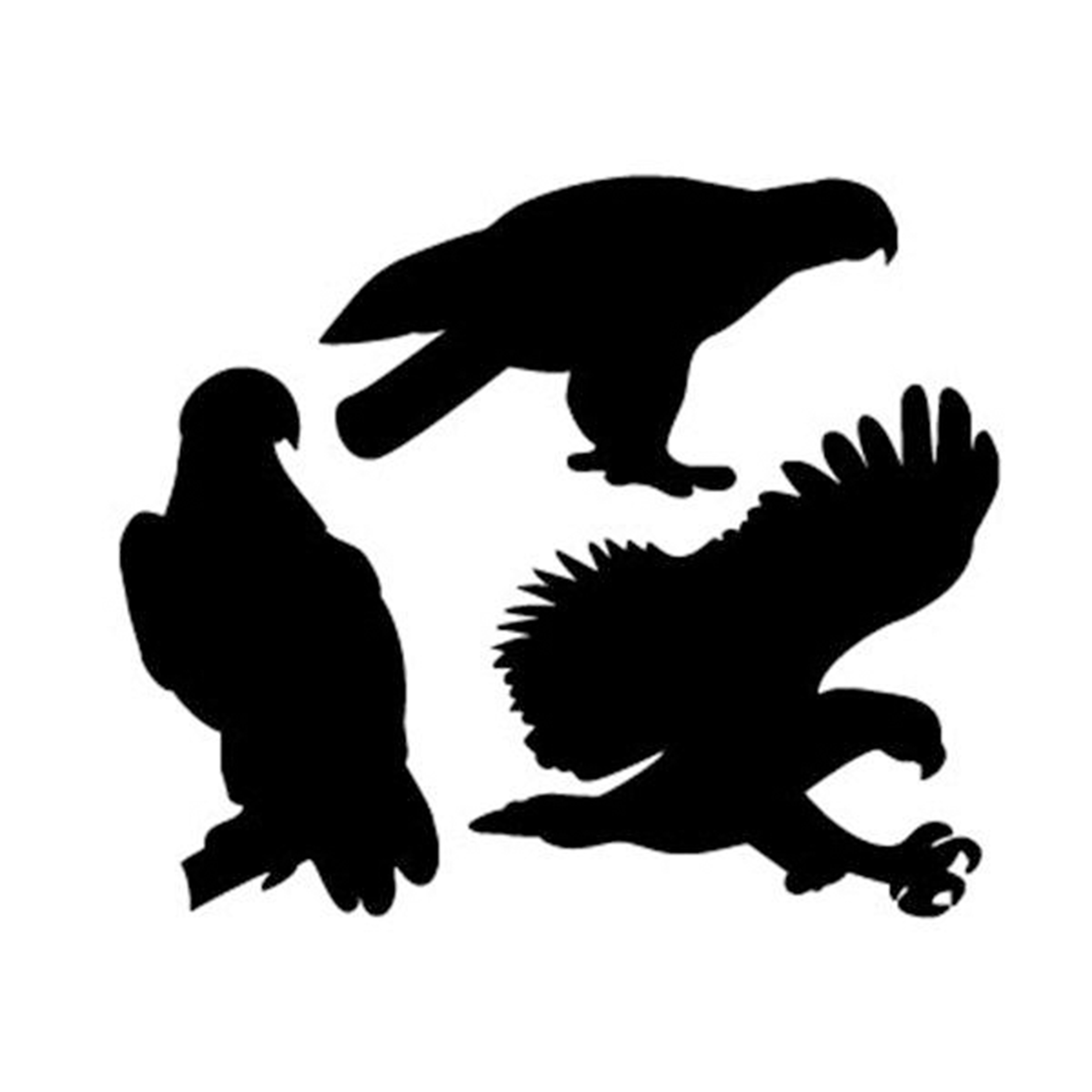 product: Woodcraft Woodworking Project Paper Plan to Build Eagle Pack of Shadow shown