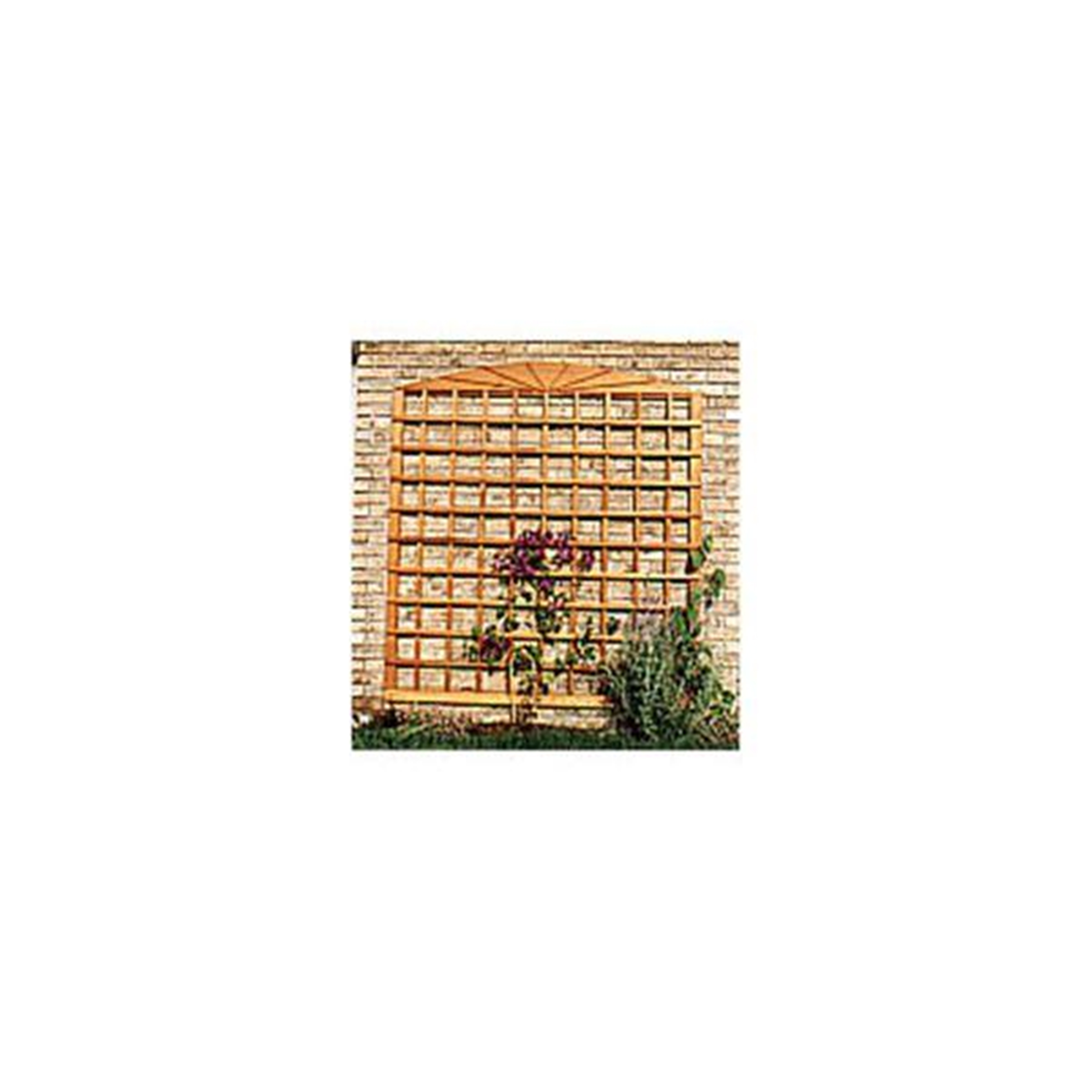 product: Woodcraft Woodworking Project Paper Plan to Build Wall Trellis shown
