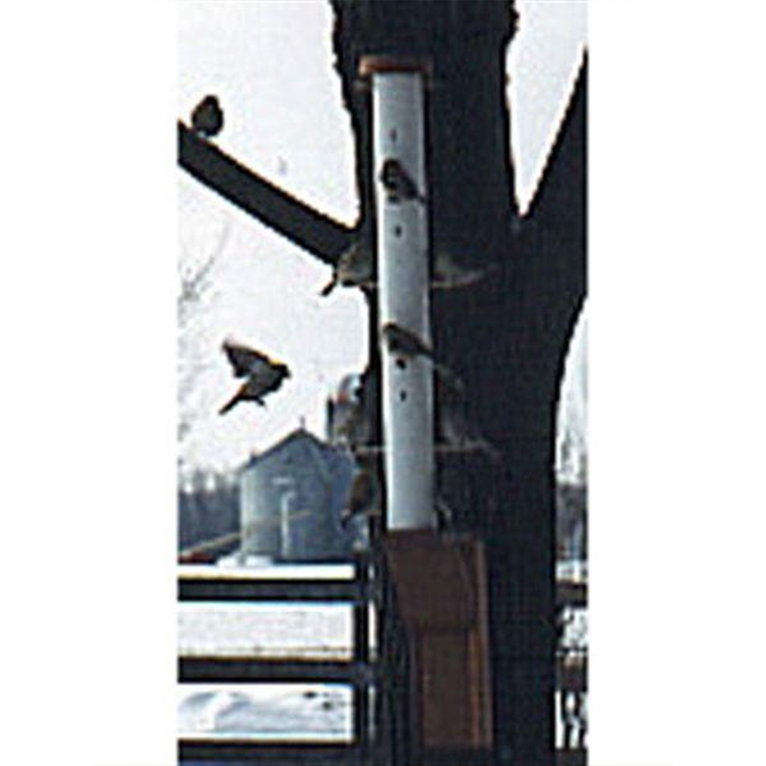 product: Woodcraft Woodworking Project Paper Plan to Build PVC Finch Feeder with Three Stands shown
