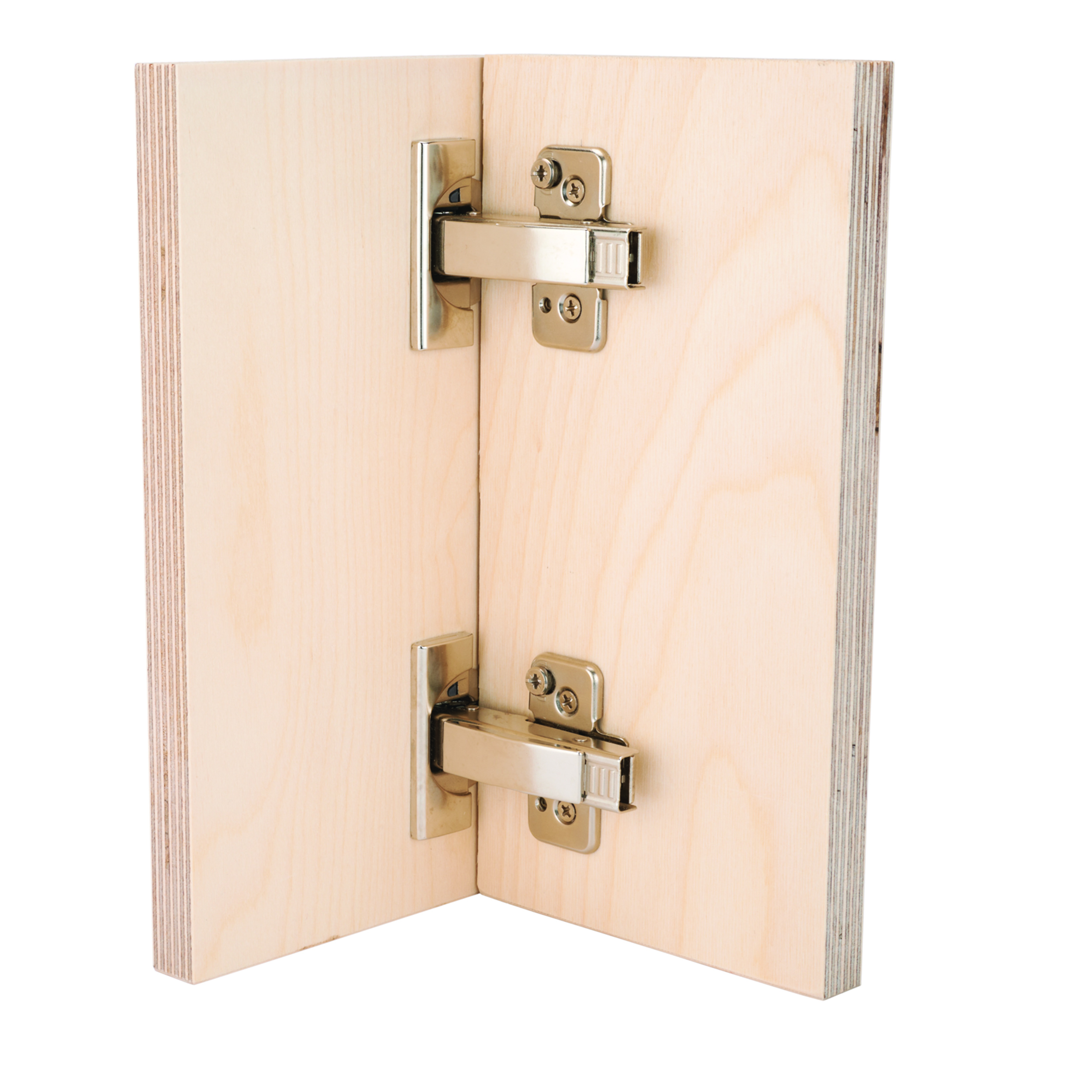product: Blum 110° Clip Top Full Overlay Frameless Hinge with BLUMOTION Pair shown