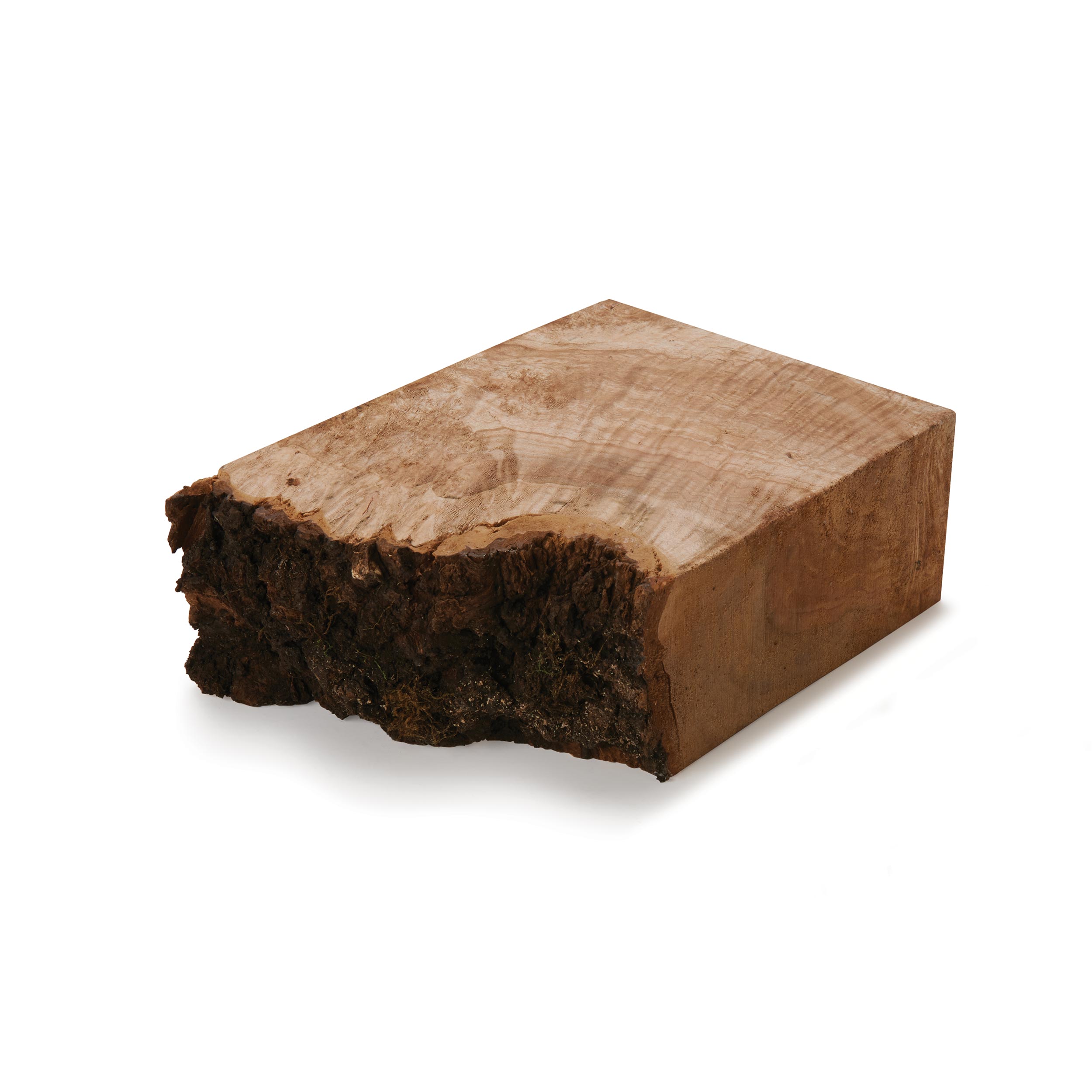 product: Woodcraft Woodshop Maple Burl Big Leaf - 2-1/2