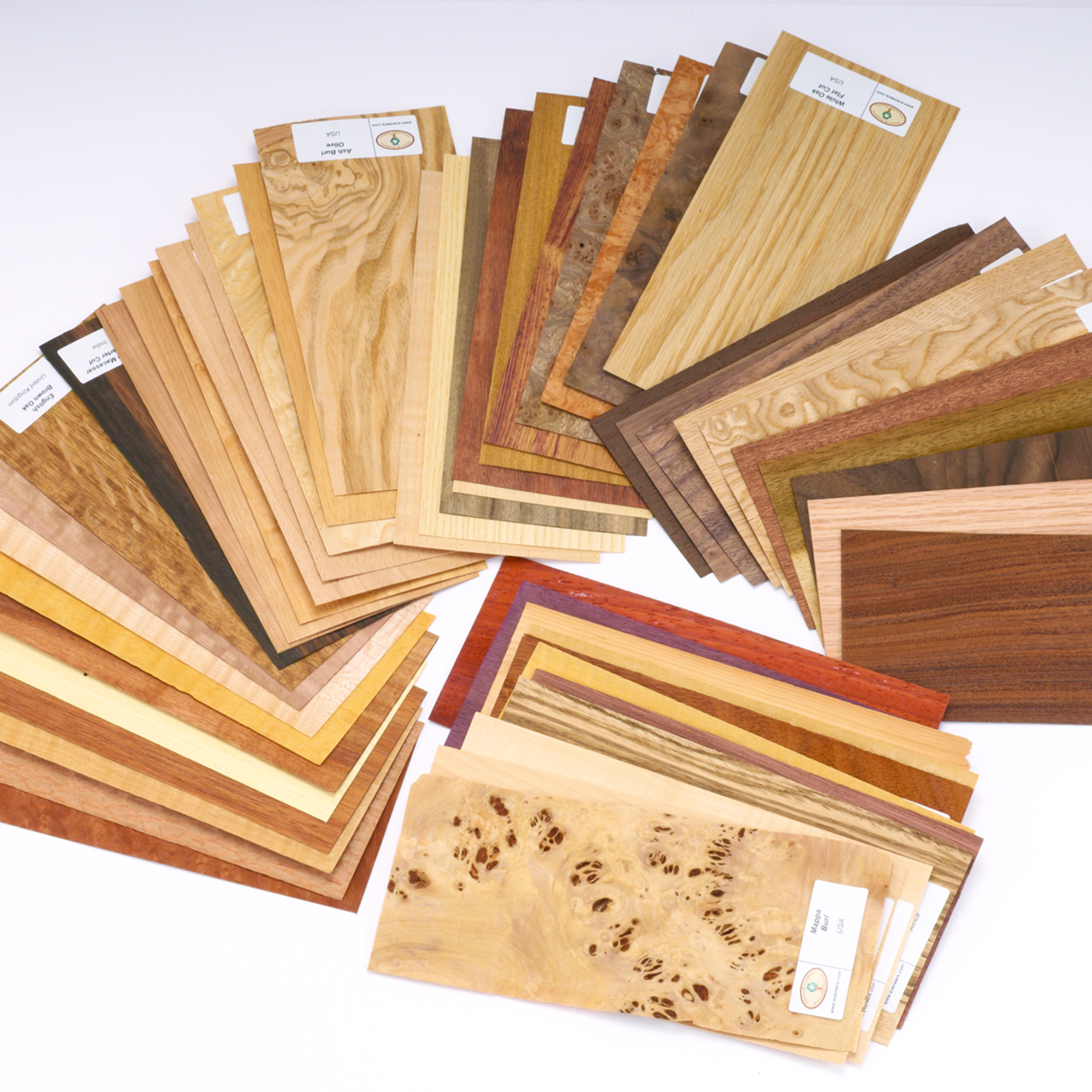 Wood Identification Kit, Veneer Sample Pack 50-piece