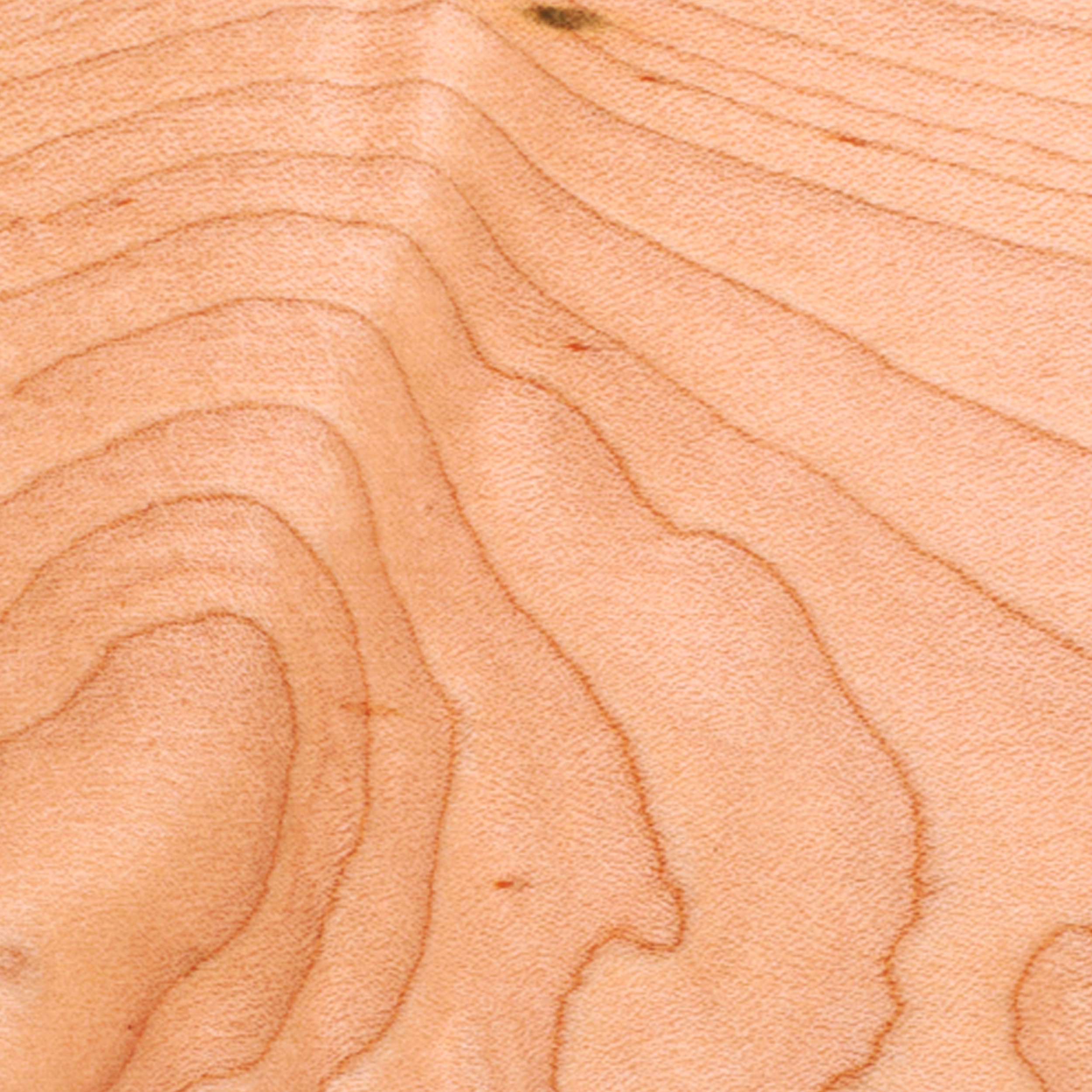 product: Woodcraft Woodshop Maple - 1/4