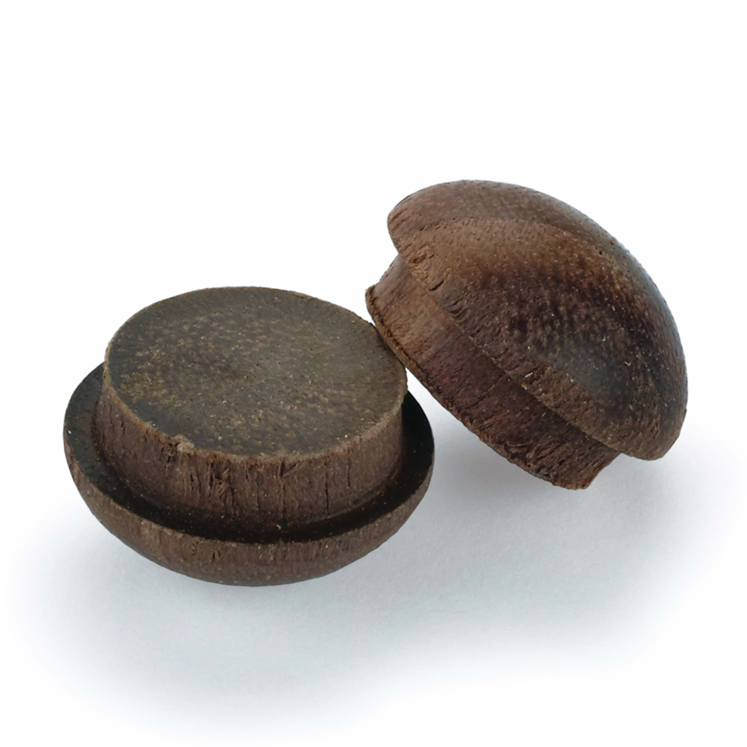 Button Top Screw Hole Plugs 3/8" Walnut 12-piece