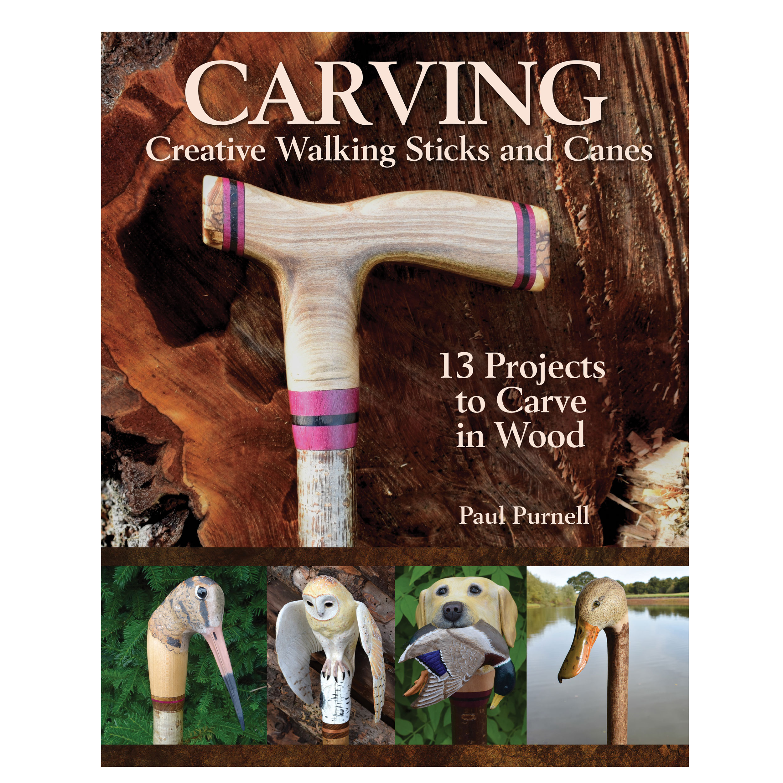 product: Fox Chapel Carving Creative Walking Sticks and Canes shown