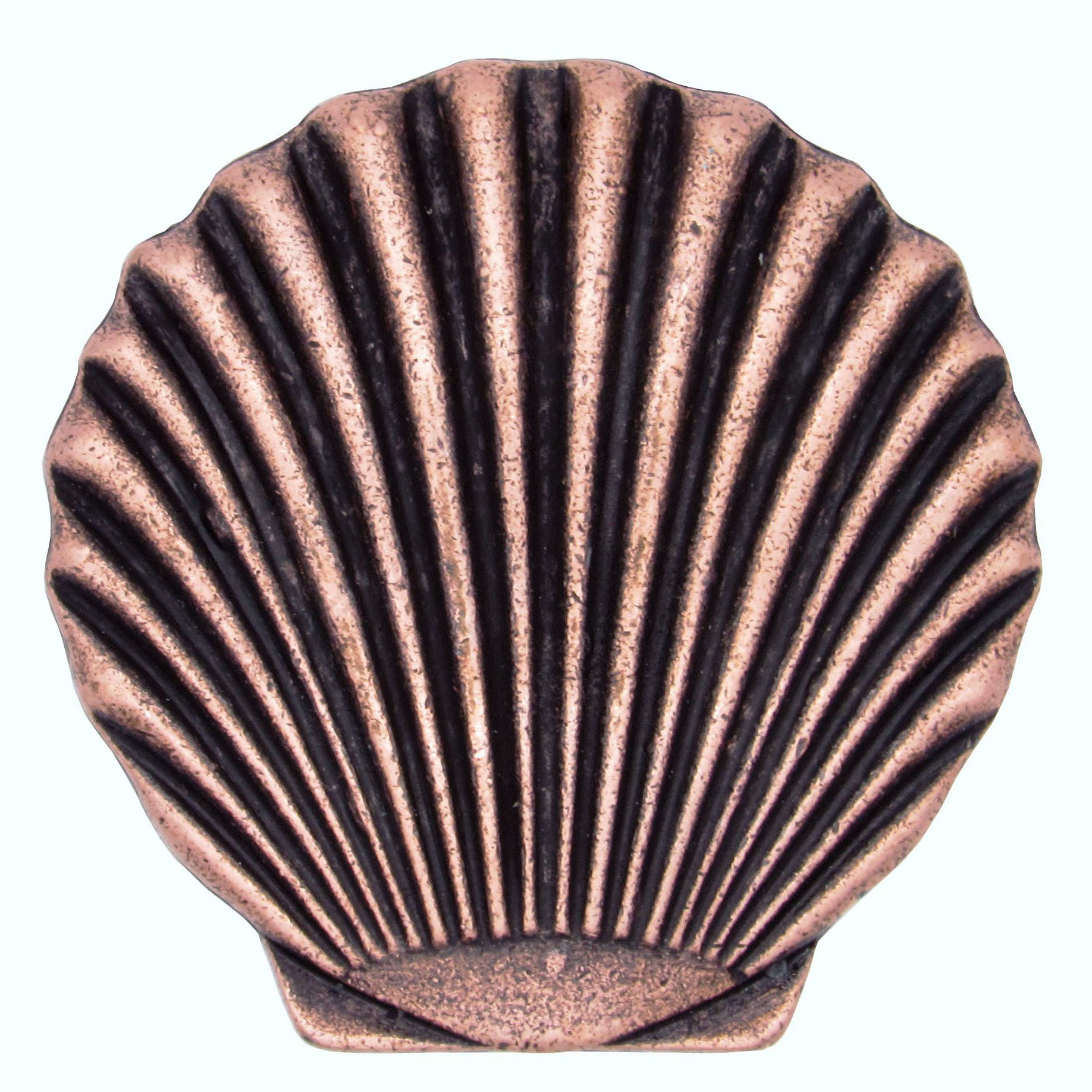 product: Buck Snort Lodge Scallop Seashell Knob, Copper Oxide shown