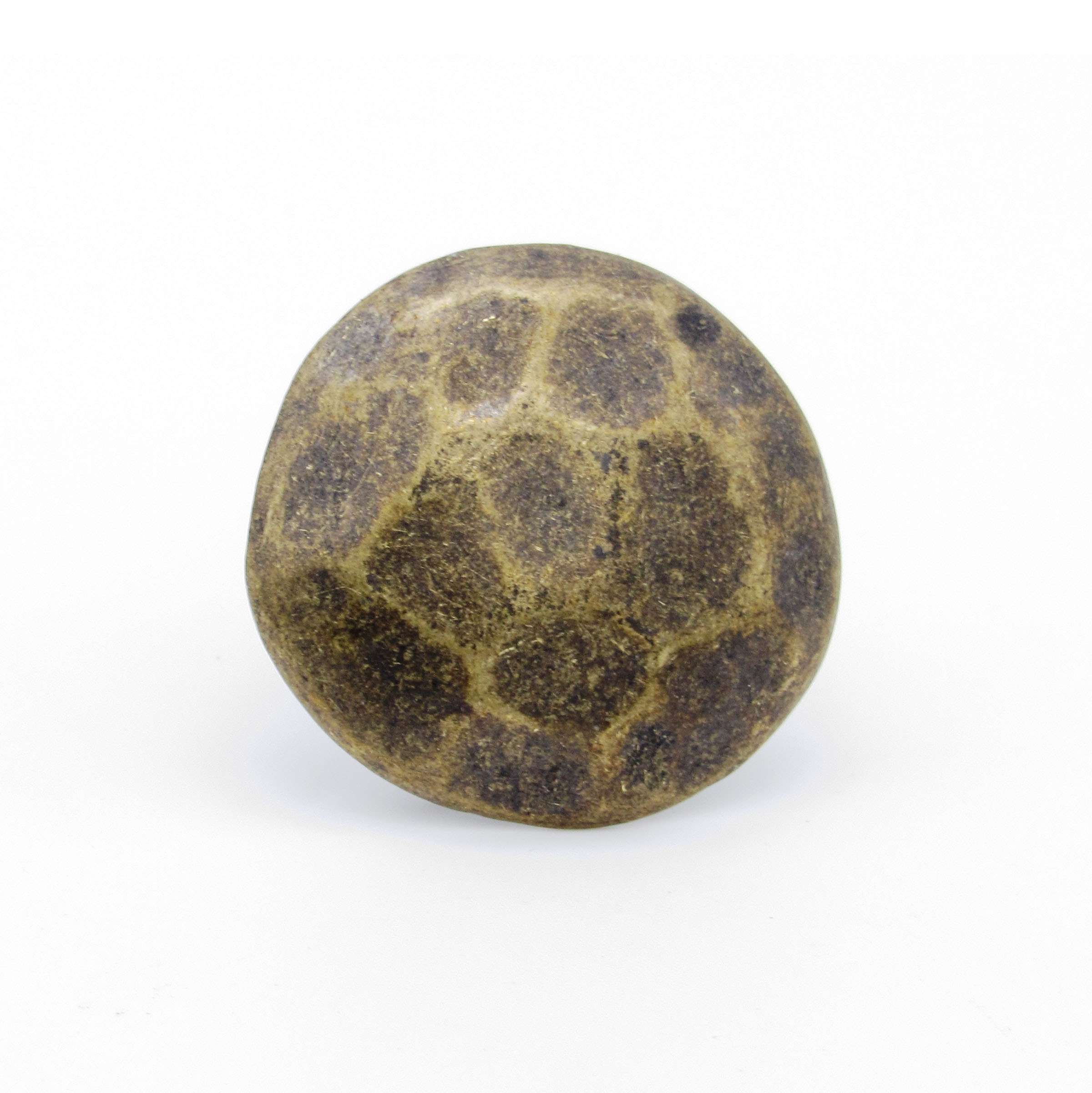 product: Buck Snort Lodge Round 1-1/8