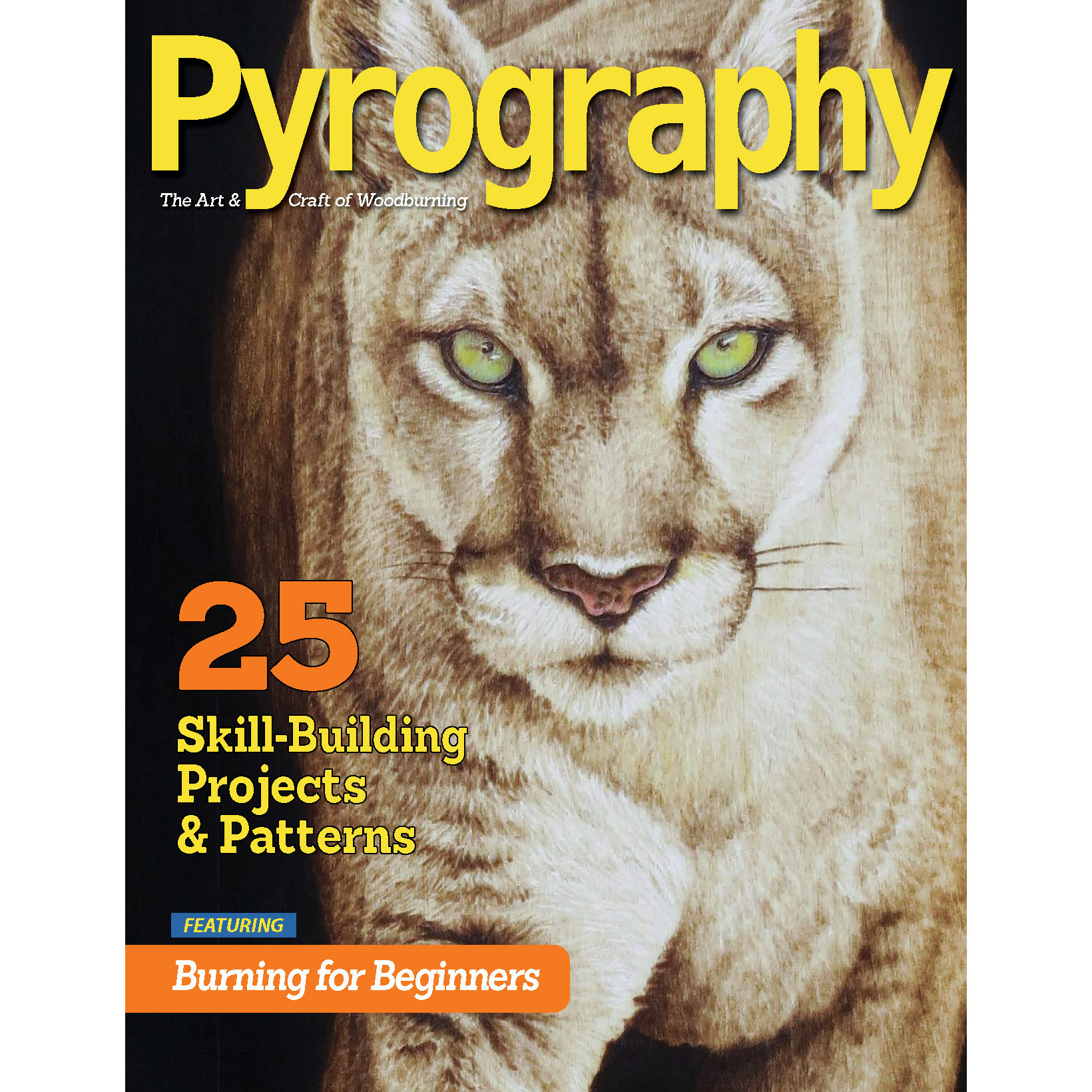 product: Fox Chapel Pyrography Special Edition shown