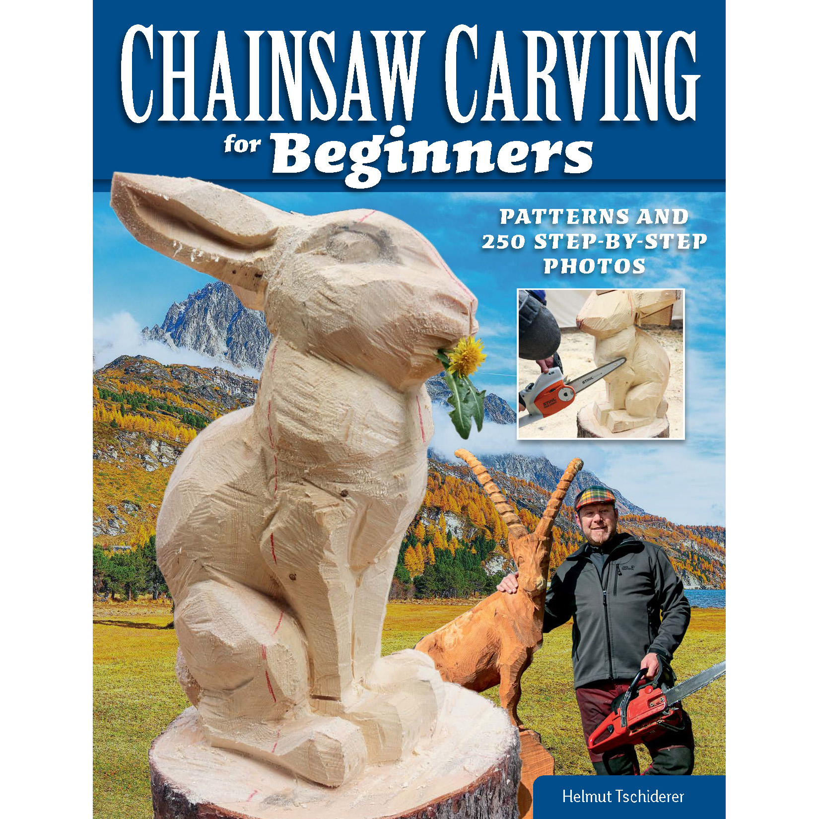 product: Fox Chapel Chainsaw Carving for Beginnners shown