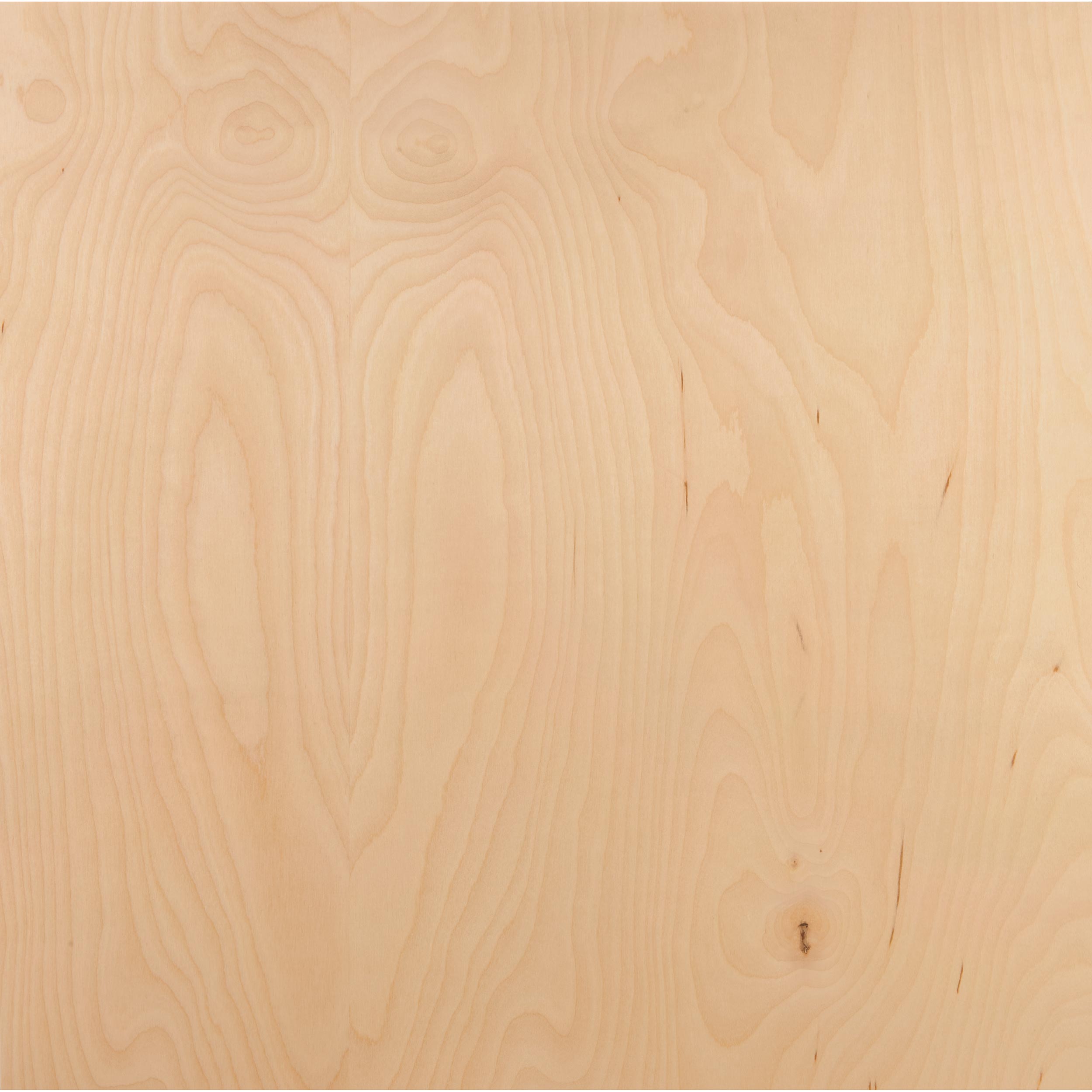 product: Woodcraft Woodshop American Birch Plywood - 3/8