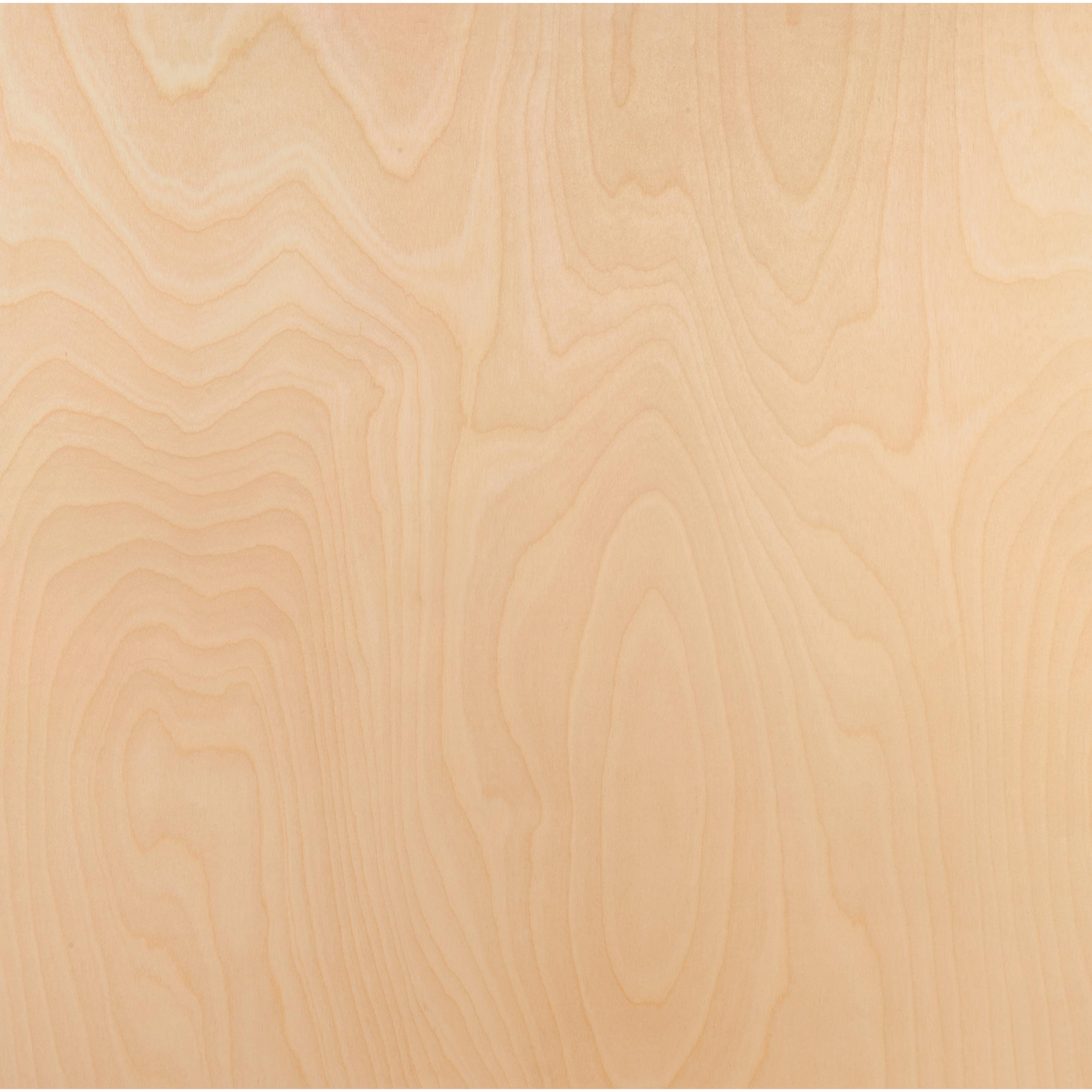 product: Woodcraft Woodshop American Birch Plywood - 1/2