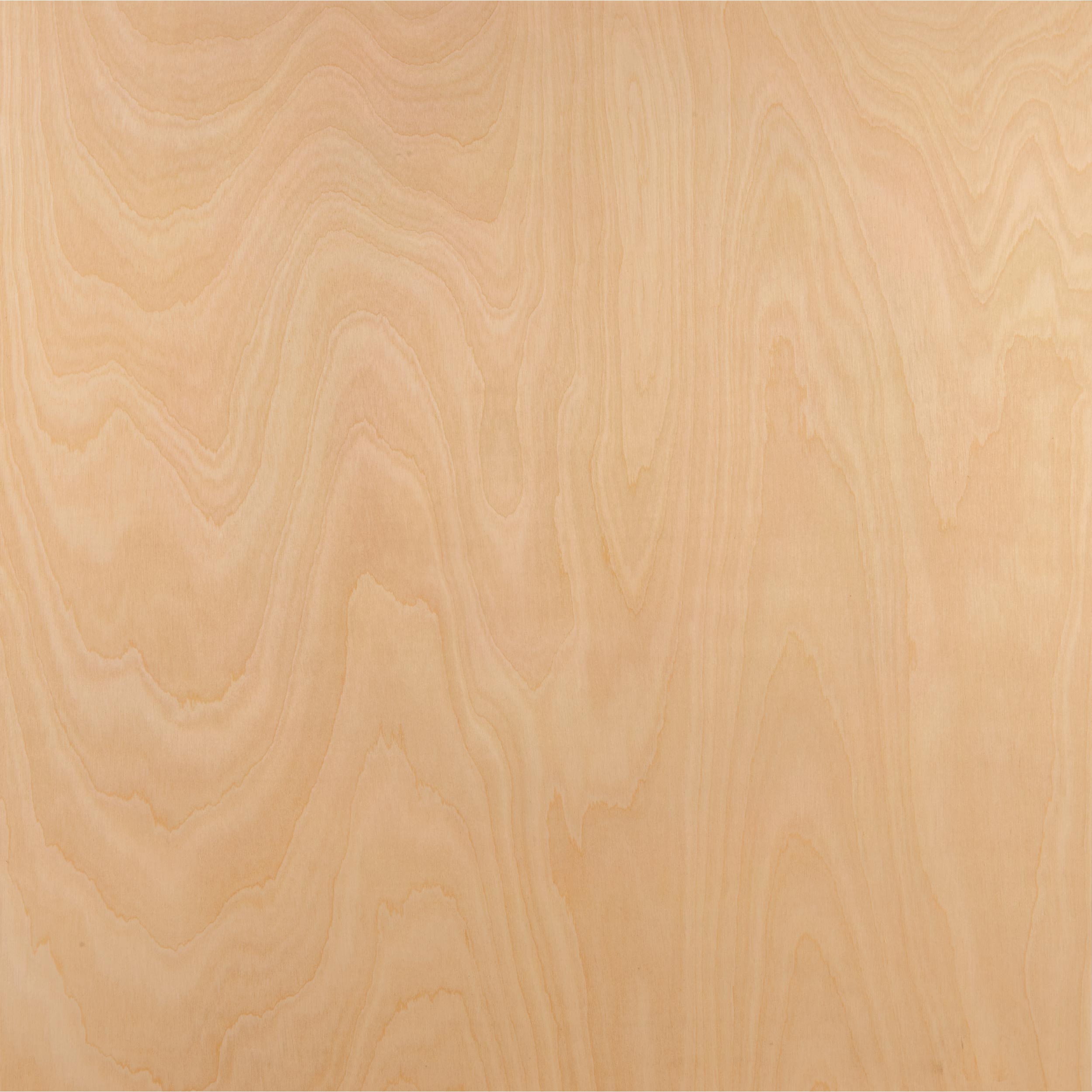 product: Woodcraft Woodshop American Birch Plywood - 3/4
