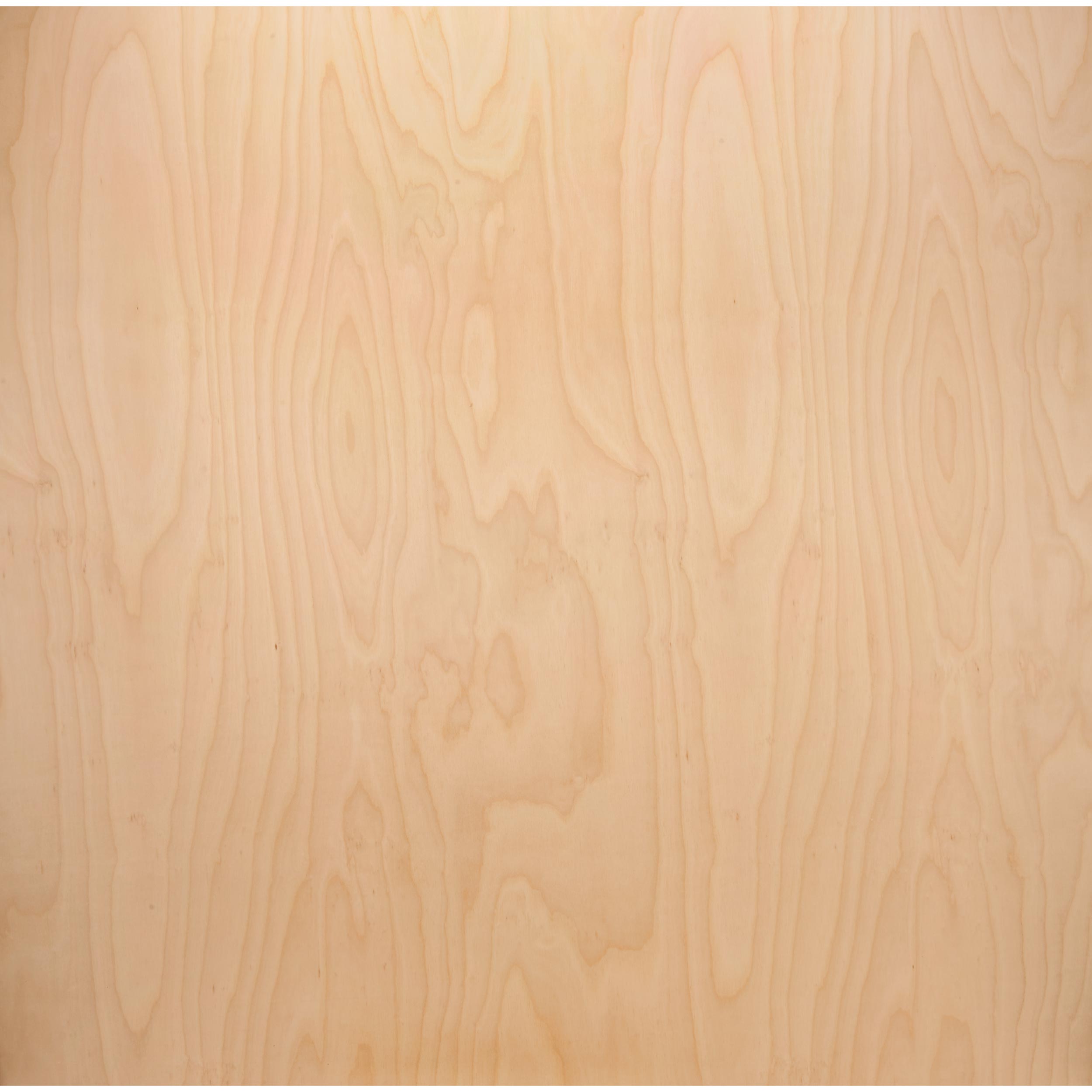 product: Woodcraft Woodshop American Birch Plywood - 3/4