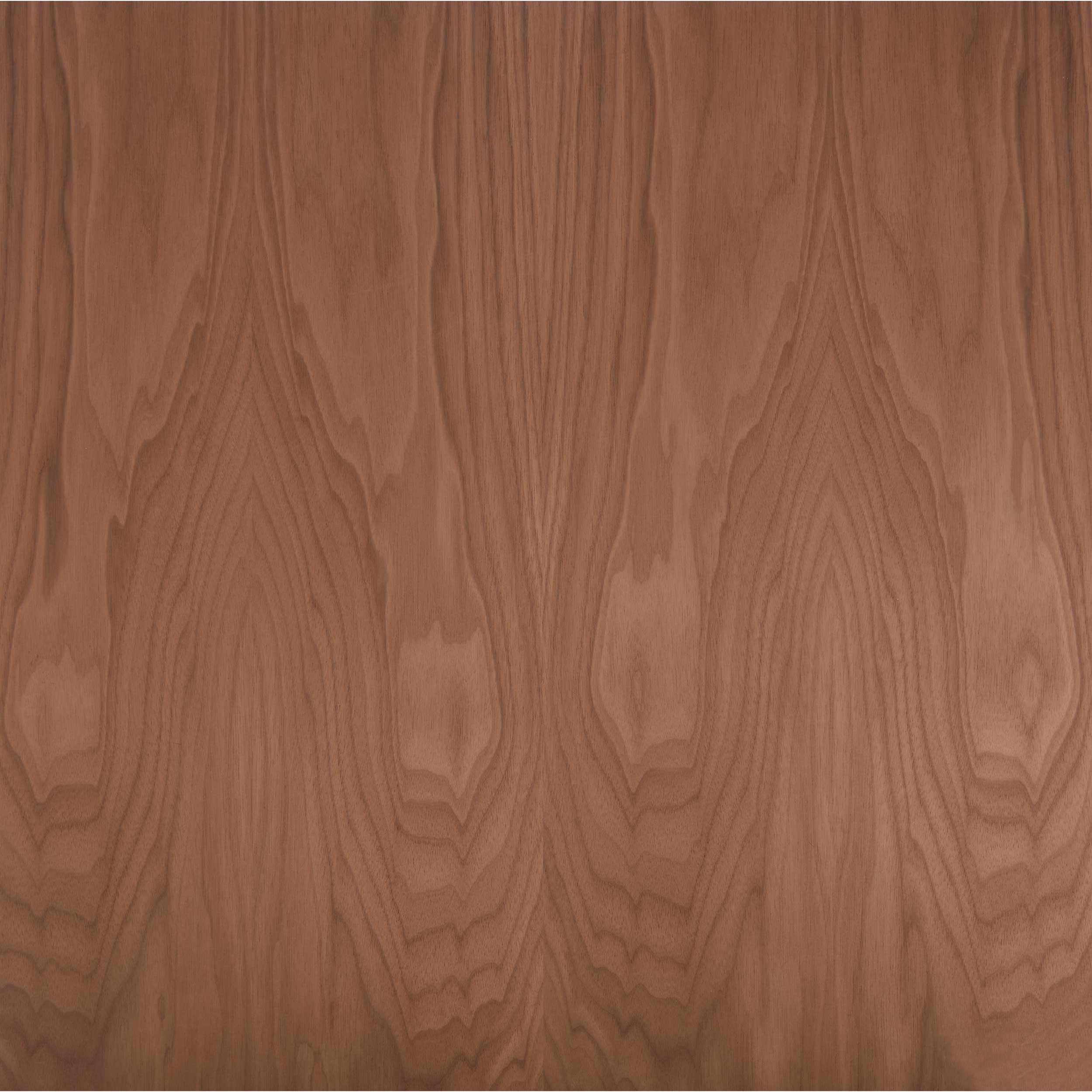 product: Woodcraft Woodshop Walnut Plywood - 3/4