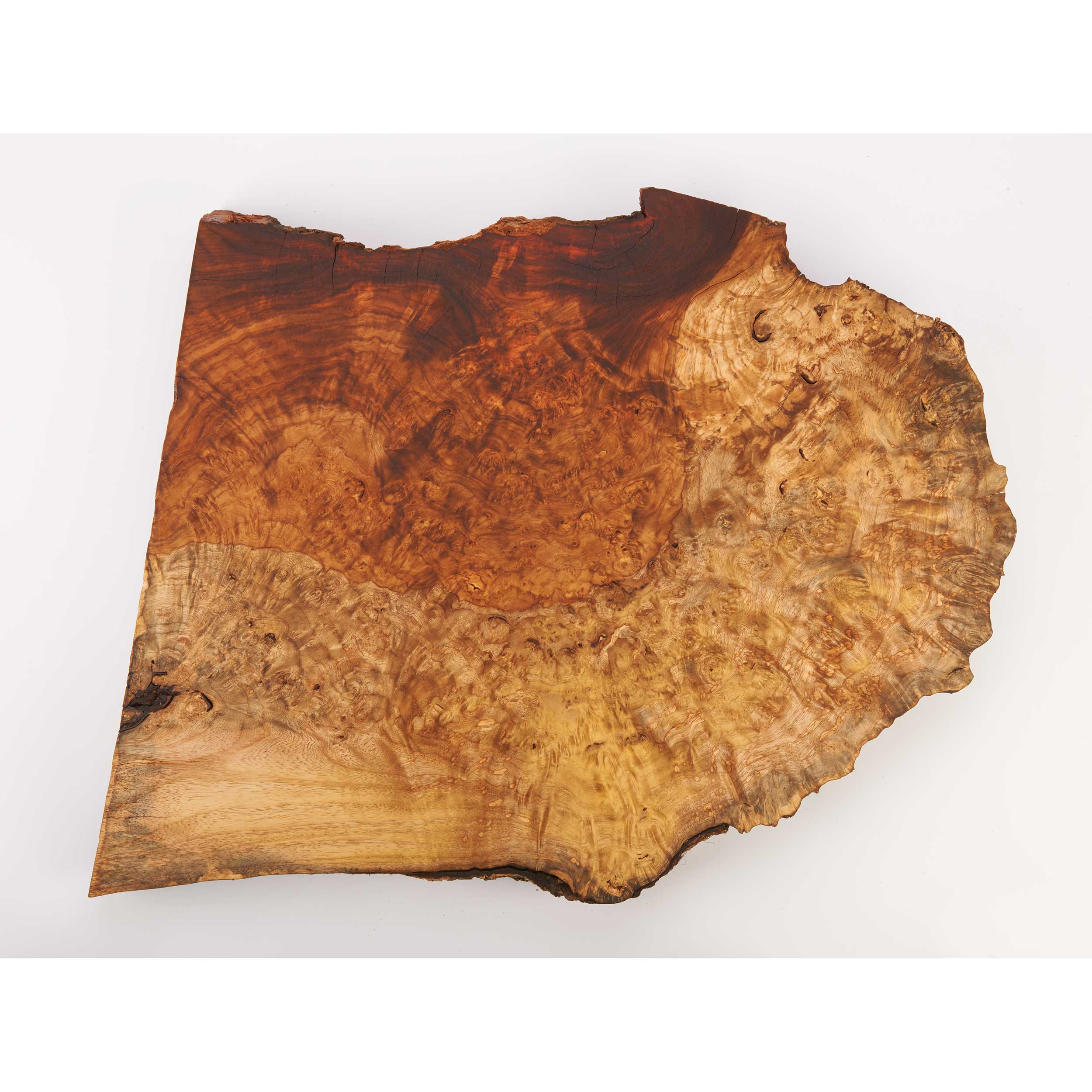 product: Woodcraft Woodshop Amboyna Burl Slice - 2-3/16