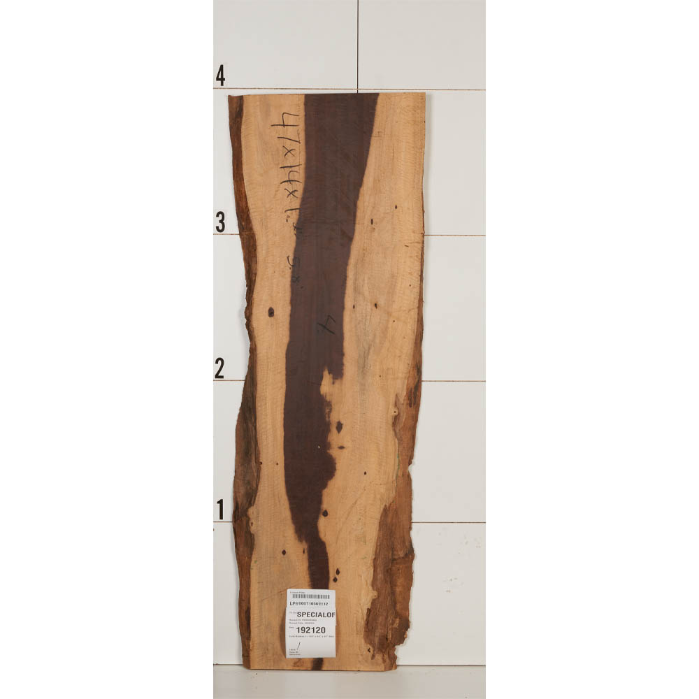 product: Woodcraft Woodshop Curly Katalox Slab - 1-1/4