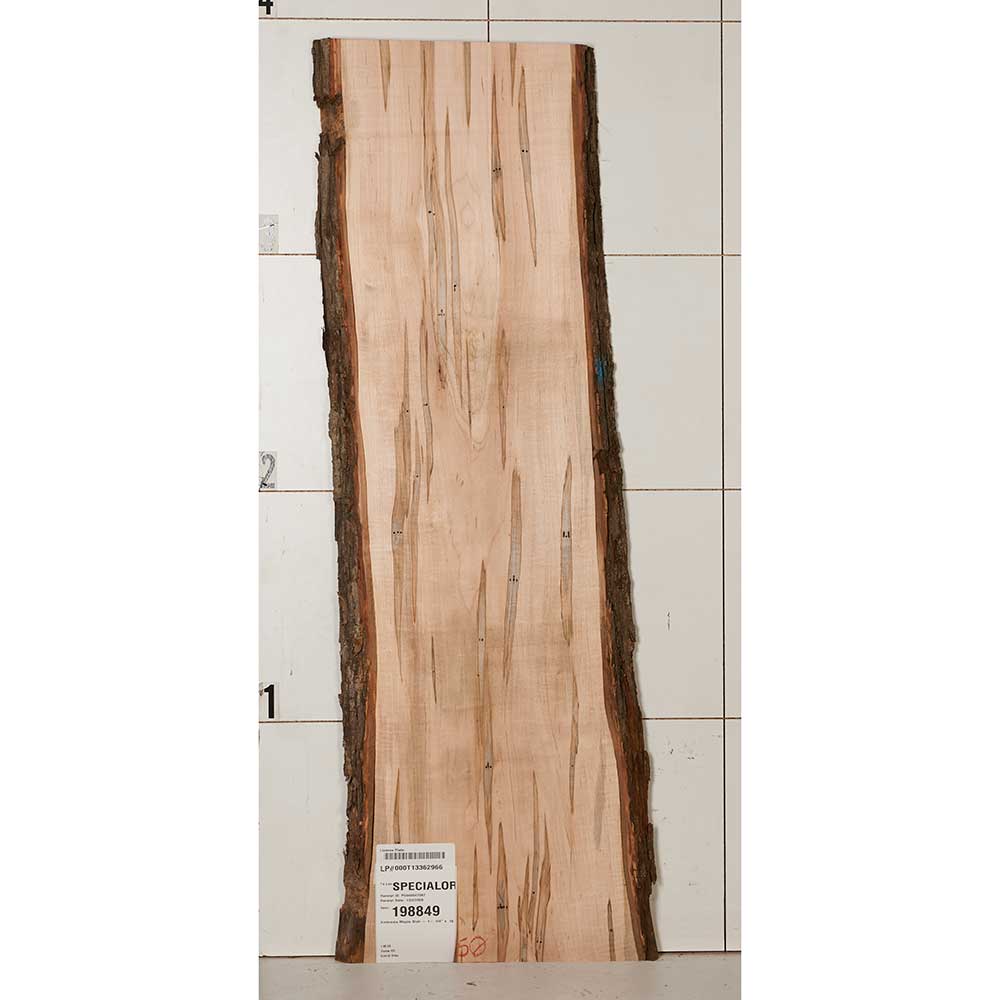 product: Woodcraft Woodshop Ambrosia Maple Slab - 1-1/4