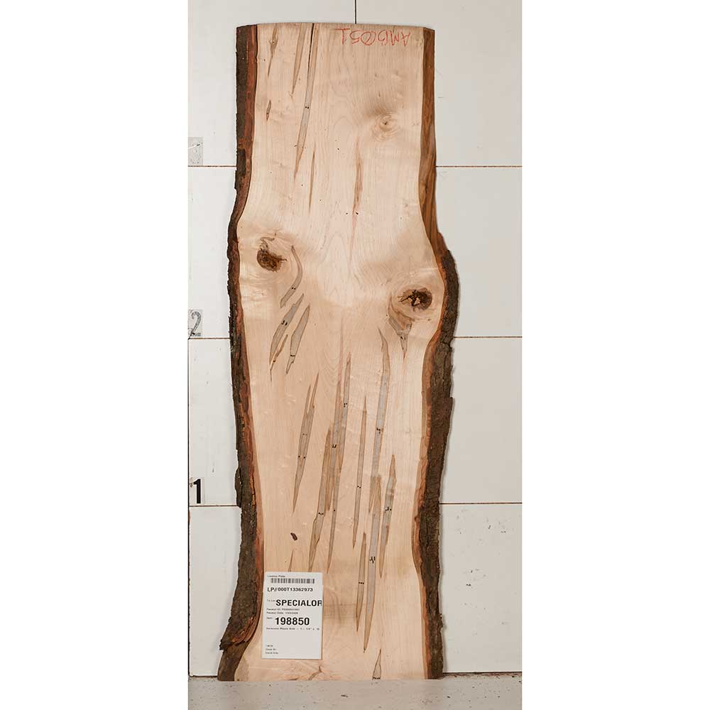 product: Woodcraft Woodshop Ambrosia Maple Slab - 1-1/4