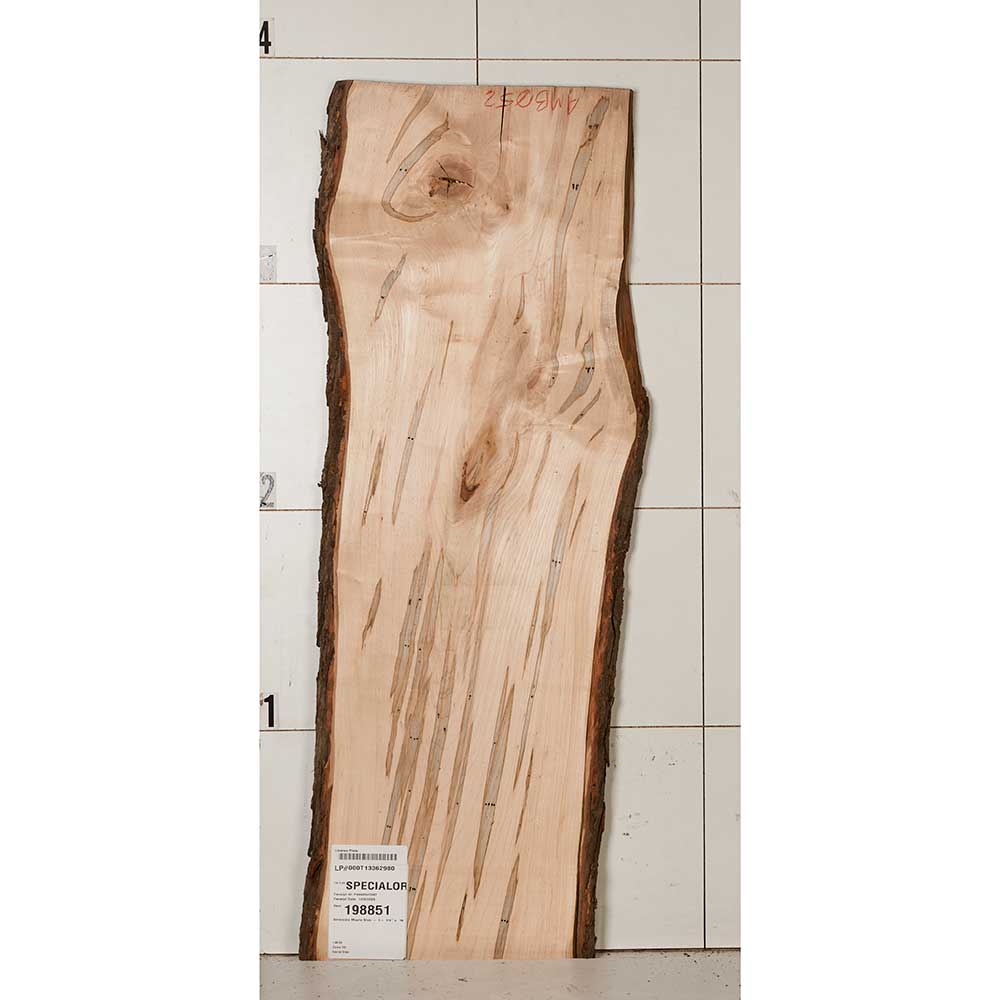 product: Woodcraft Woodshop Ambrosia Maple Slab - 1-1/4