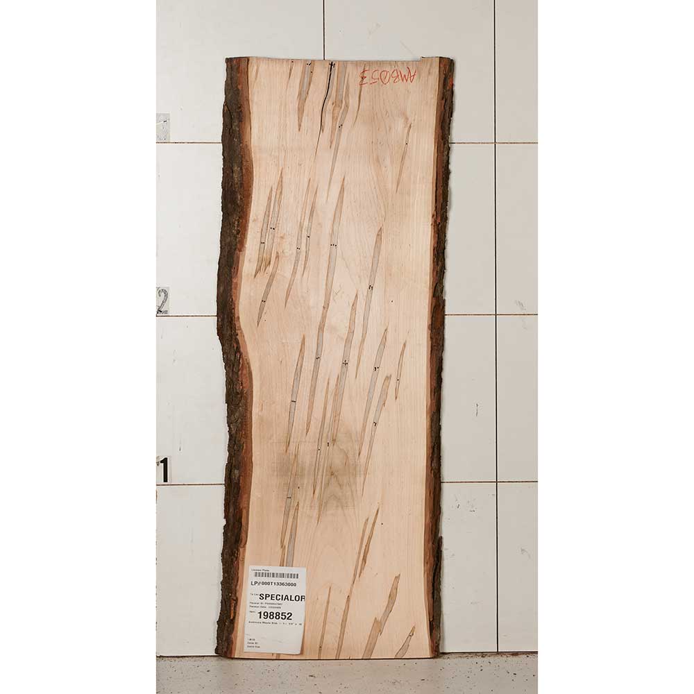 product: Woodcraft Woodshop Ambrosia Maple Slab - 1-1/4
