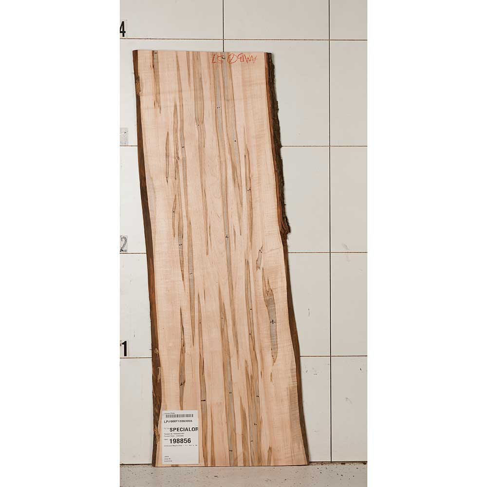 product: Woodcraft Woodshop Ambrosia Maple Slab - 1-1/4