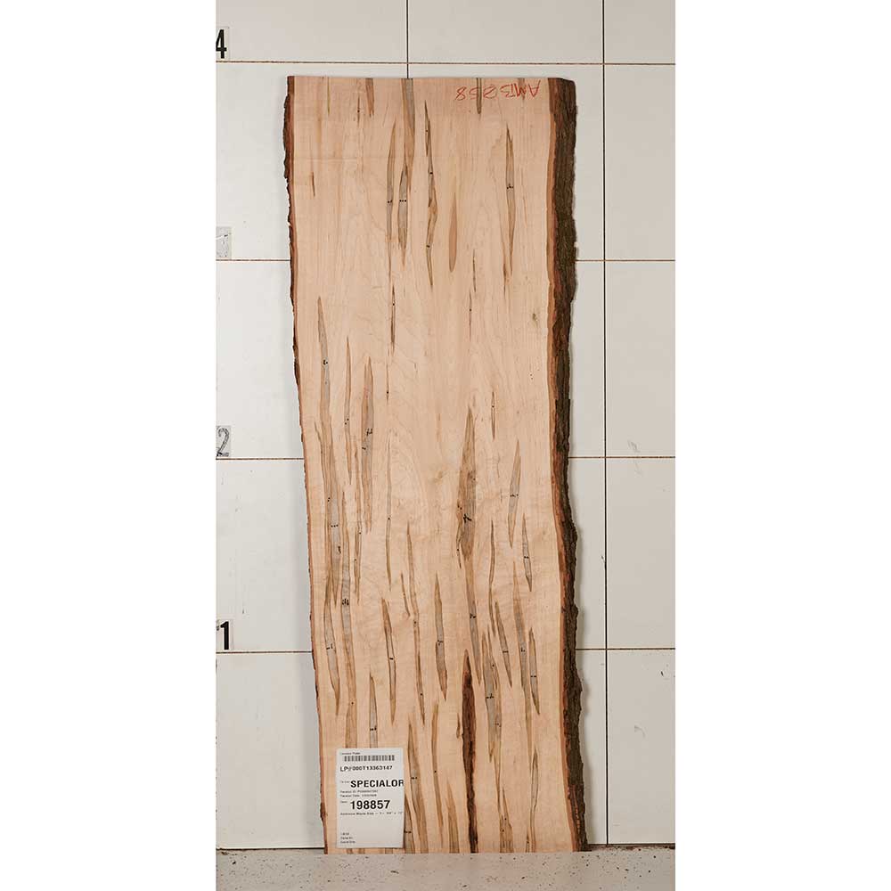 product: Woodcraft Woodshop Ambrosia Maple Slab - 1-1/4