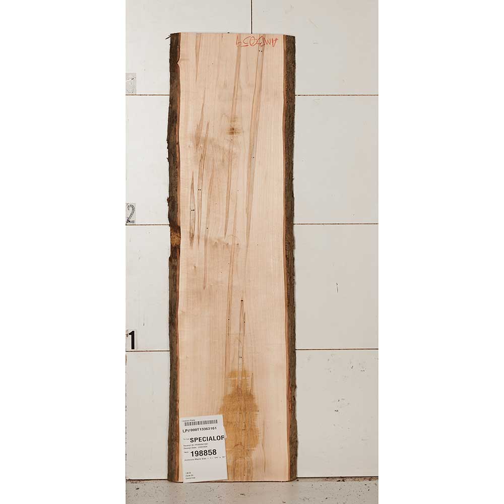 product: Woodcraft Woodshop Ambrosia Maple Slab - 1-1/4