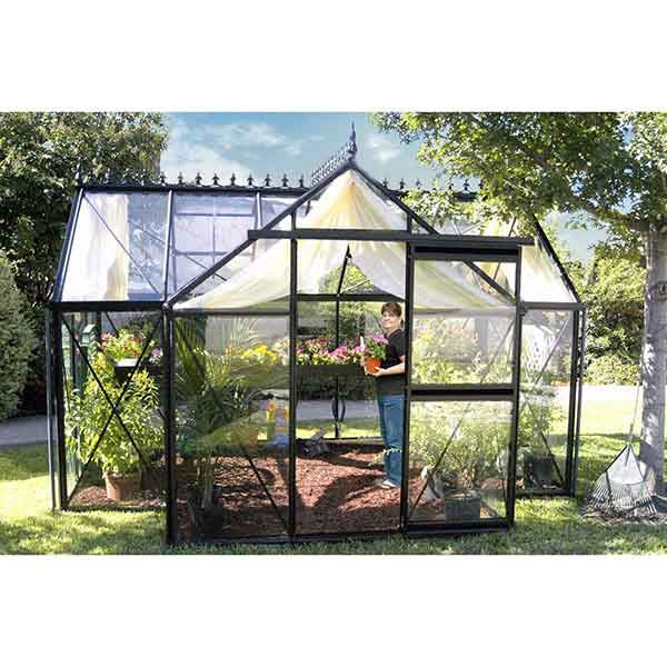 Orangerie T-shaped Greenhouse
