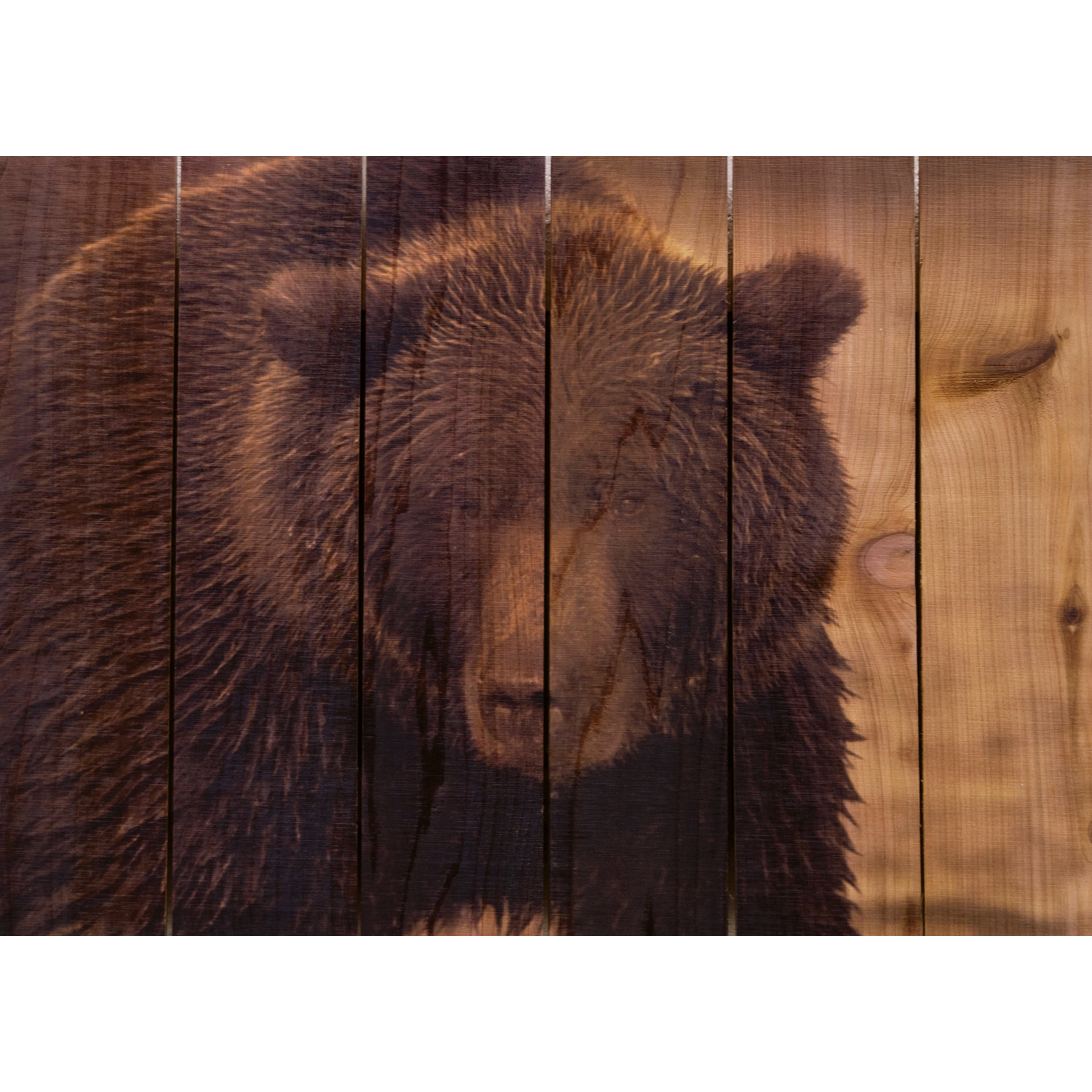 Daydream Gizaun Cedar Wall Art, Big Bear, 22.5" W X 16" H