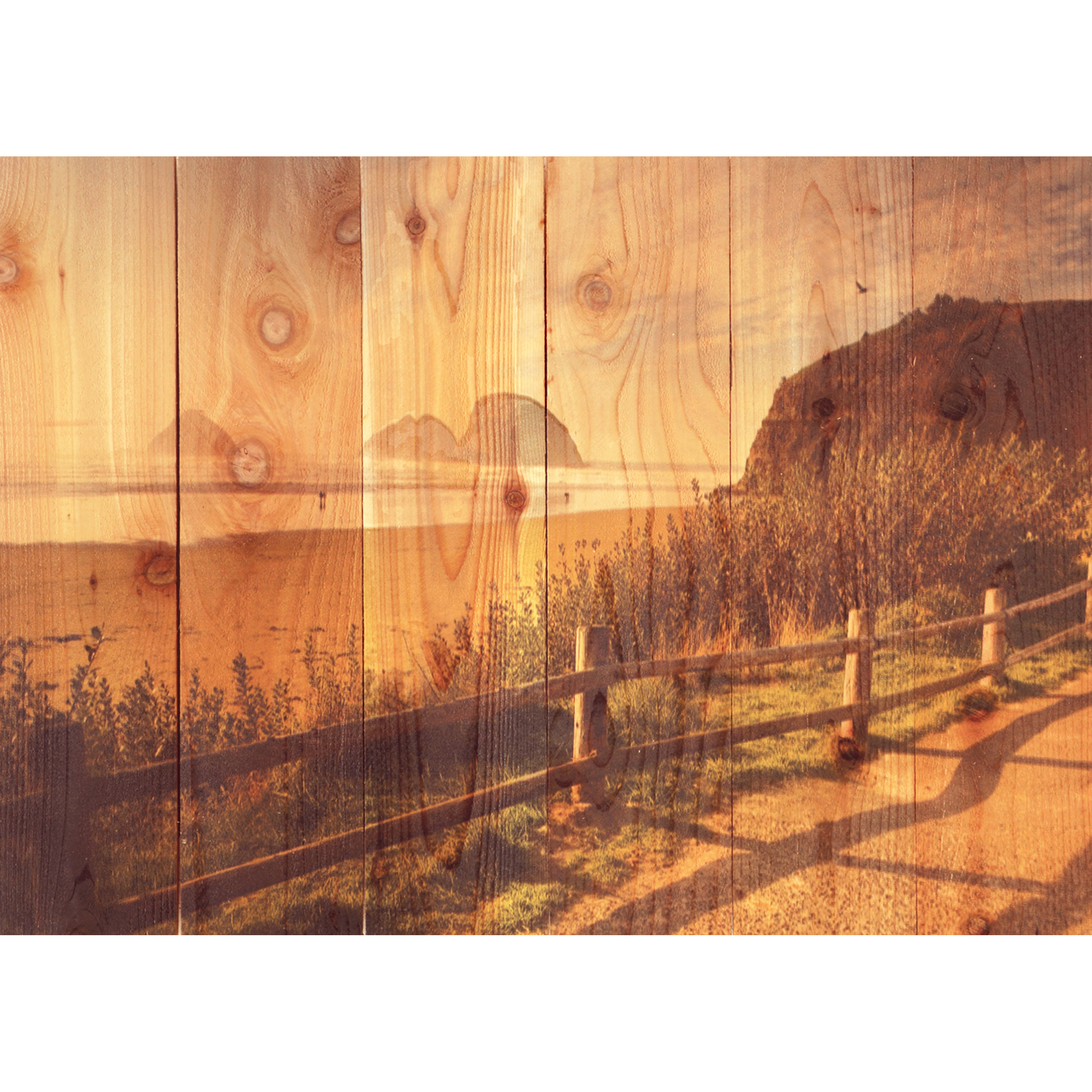 Daydream Gizaun Cedar Wall Art, Coastal Stroll, 22.5" X 16"