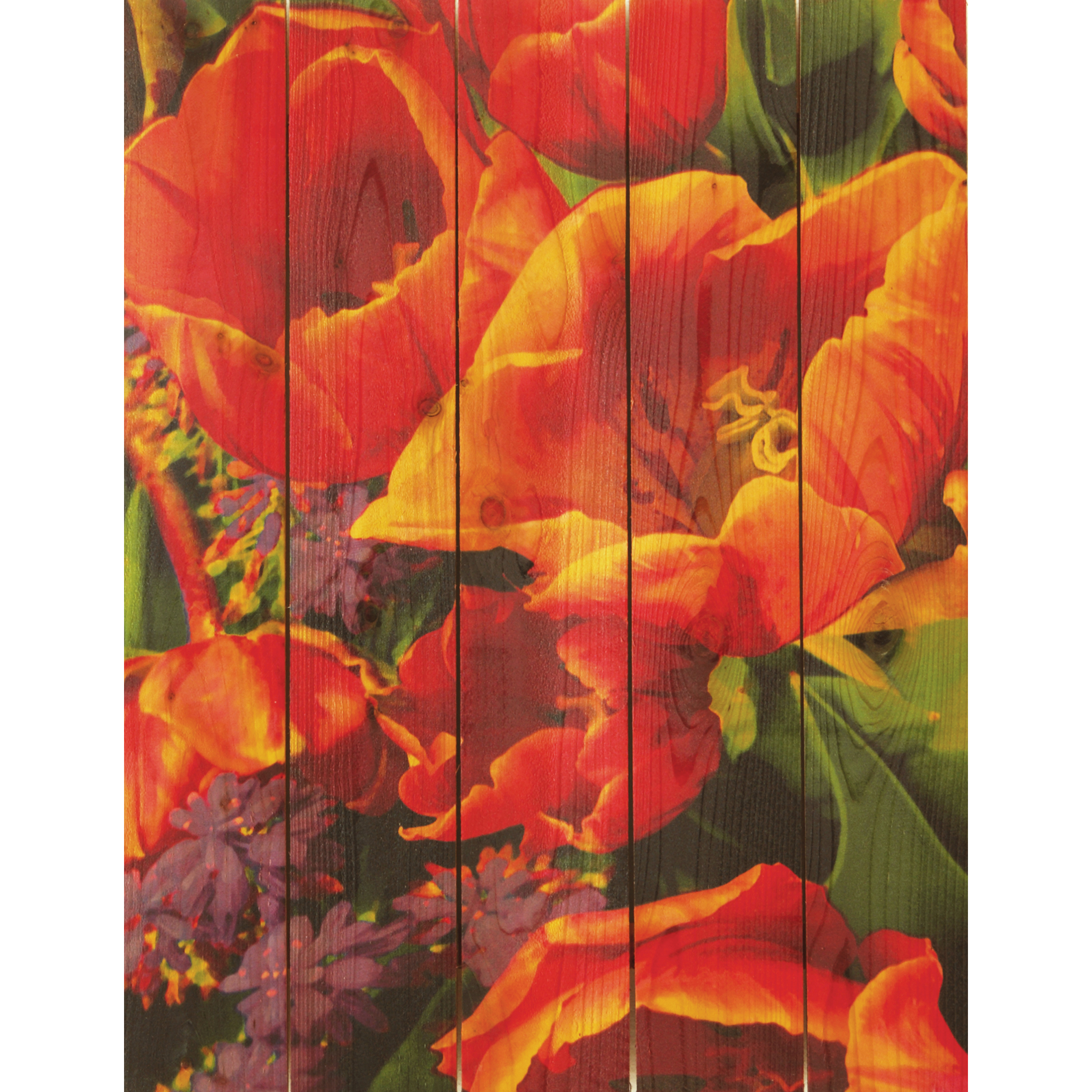Daydream Gizaun Cedar Wall Art, Full Bloom, 28" X 36"