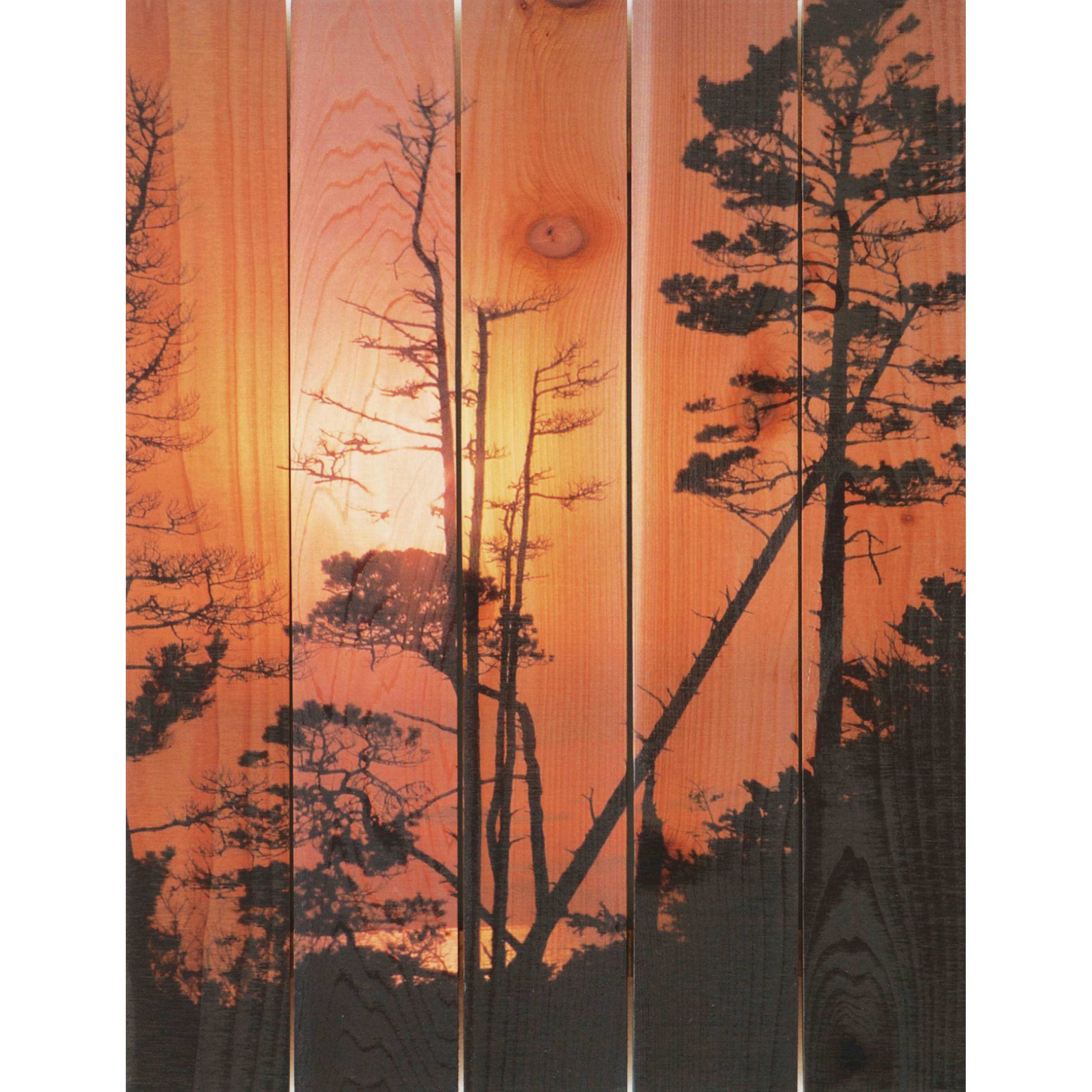 Daydream Gizaun Cedar Wall Art, Ocean Forest, 28" X 36"