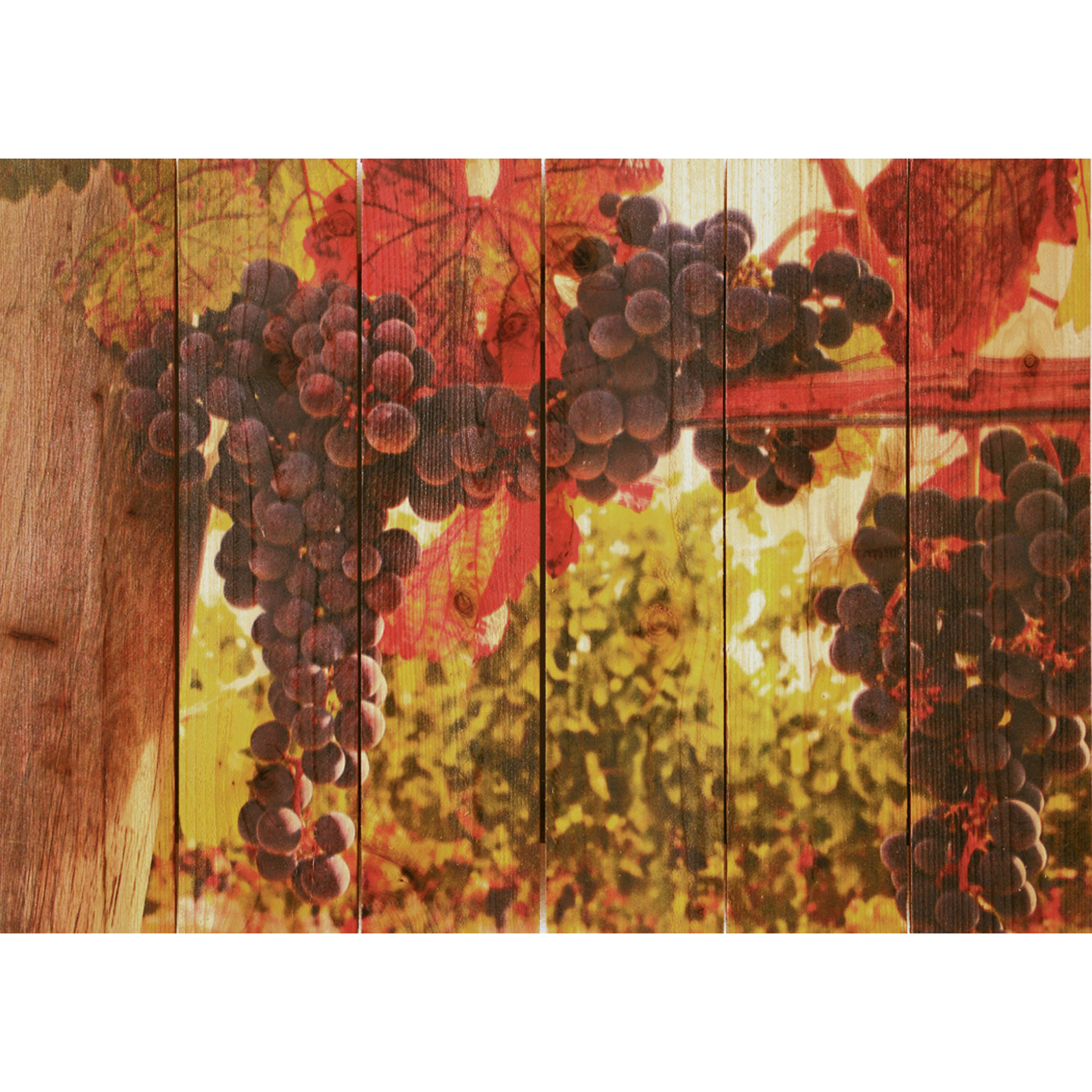 Daydream Gizaun Cedar Wall Art, Old Vines, 22.5" X 16"