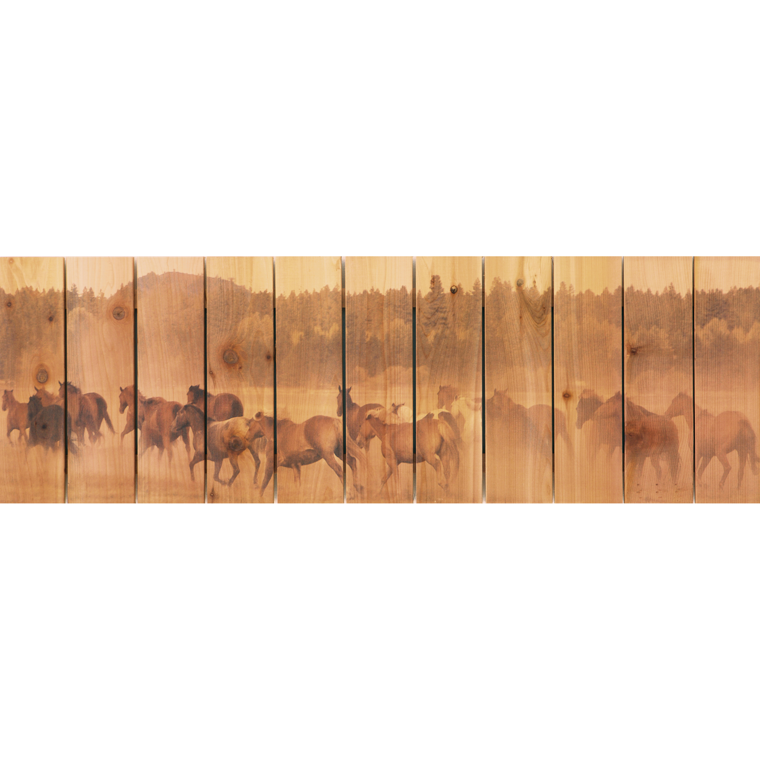 Daydream Gizaun Cedar Wall Art, Wild Horse, 32" X 11"