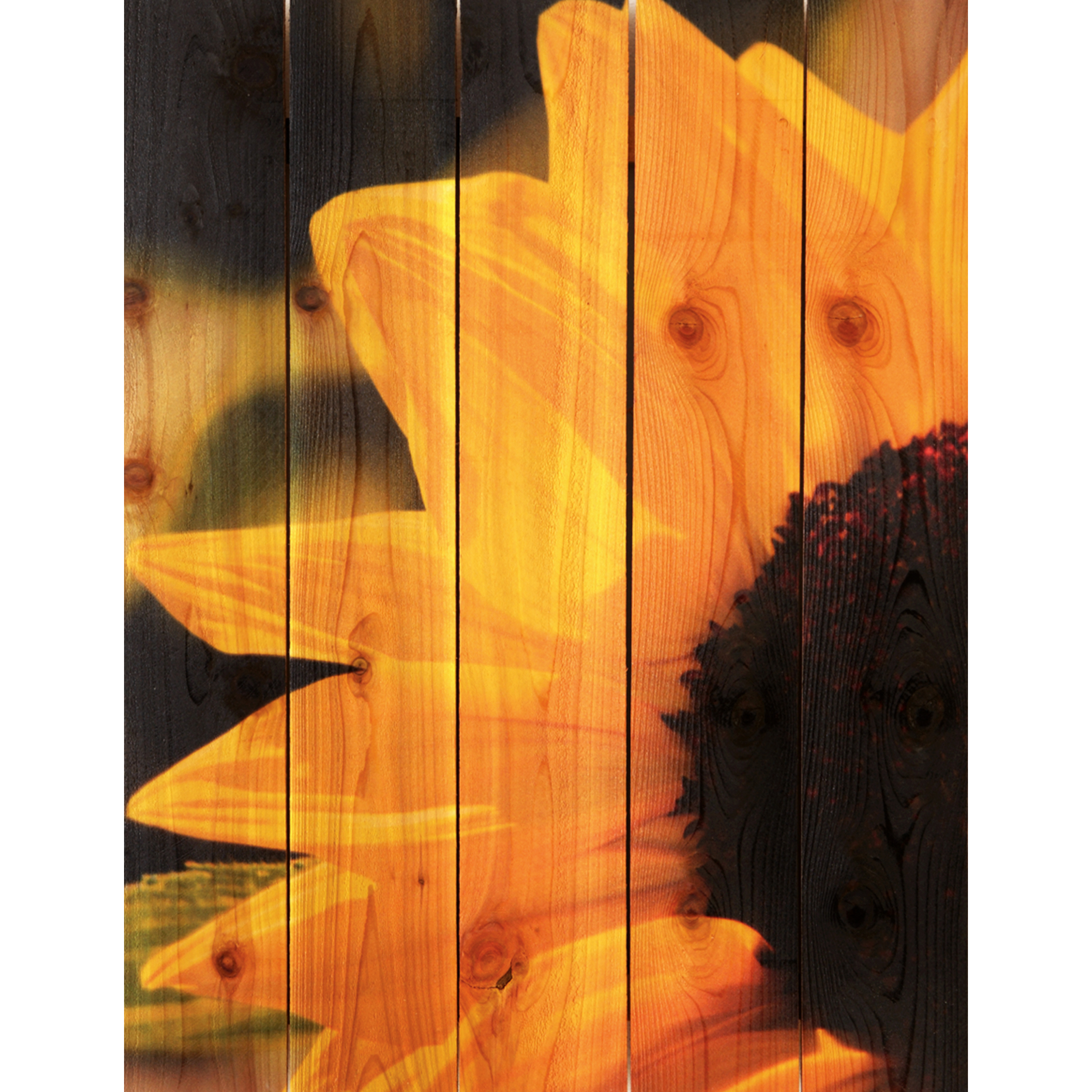 Daydream Gizaun Cedar Wall Art, Sunflower, 28" X 36"