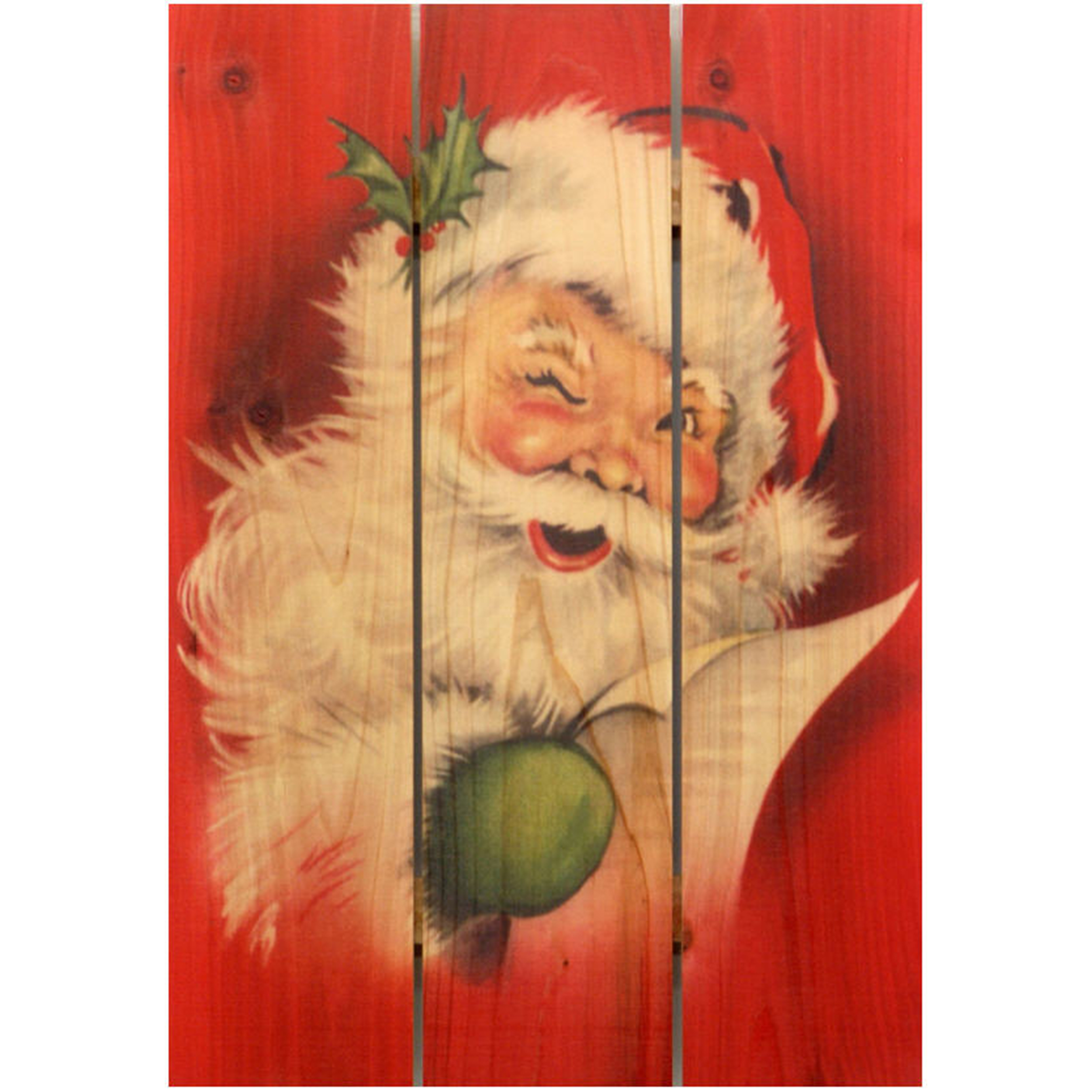 Daydream Gizaun Cedar Wall Art, Red Santa, 16" X 24"