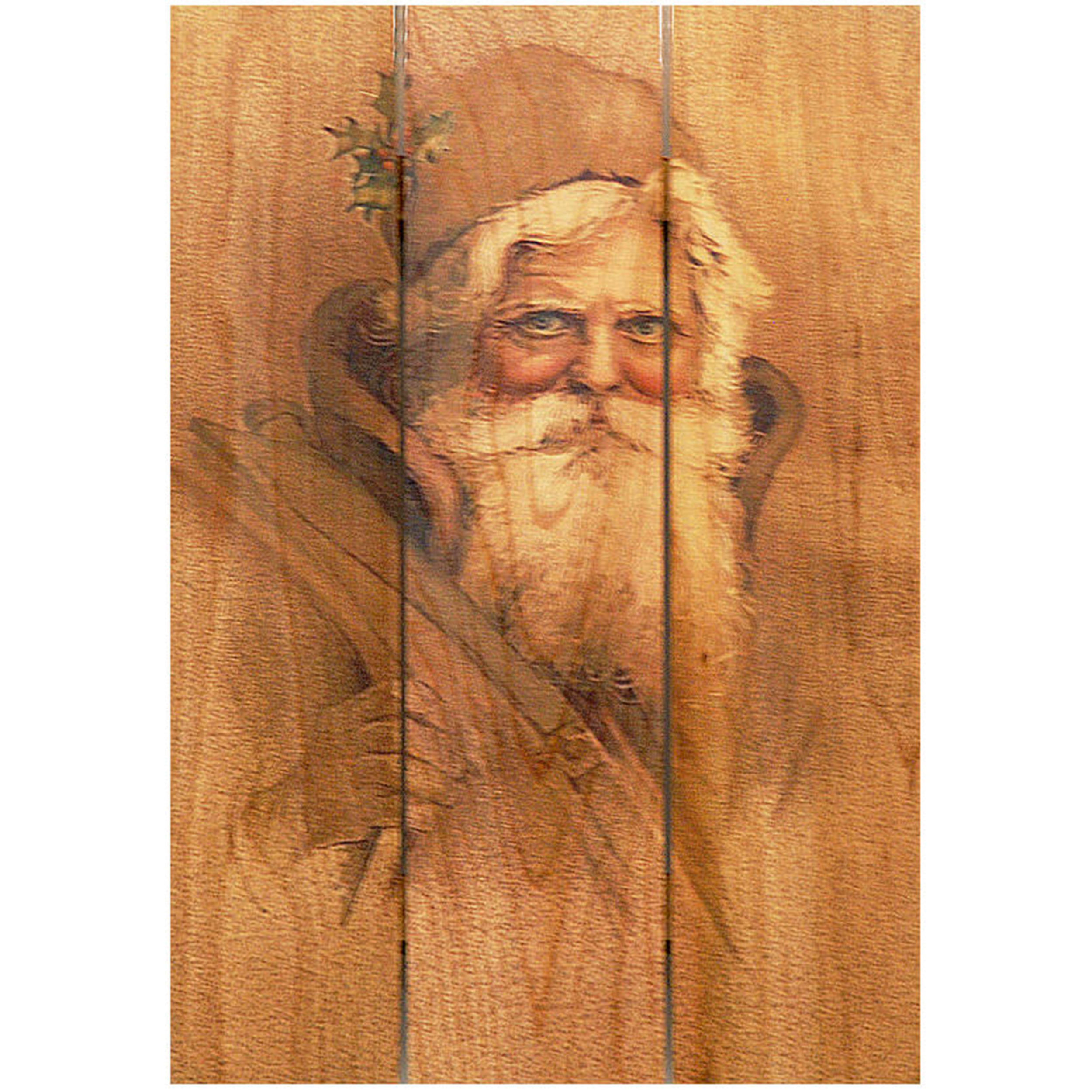 Daydream Gizaun Cedar Wall Art, Father Christmas, 16" X 24"