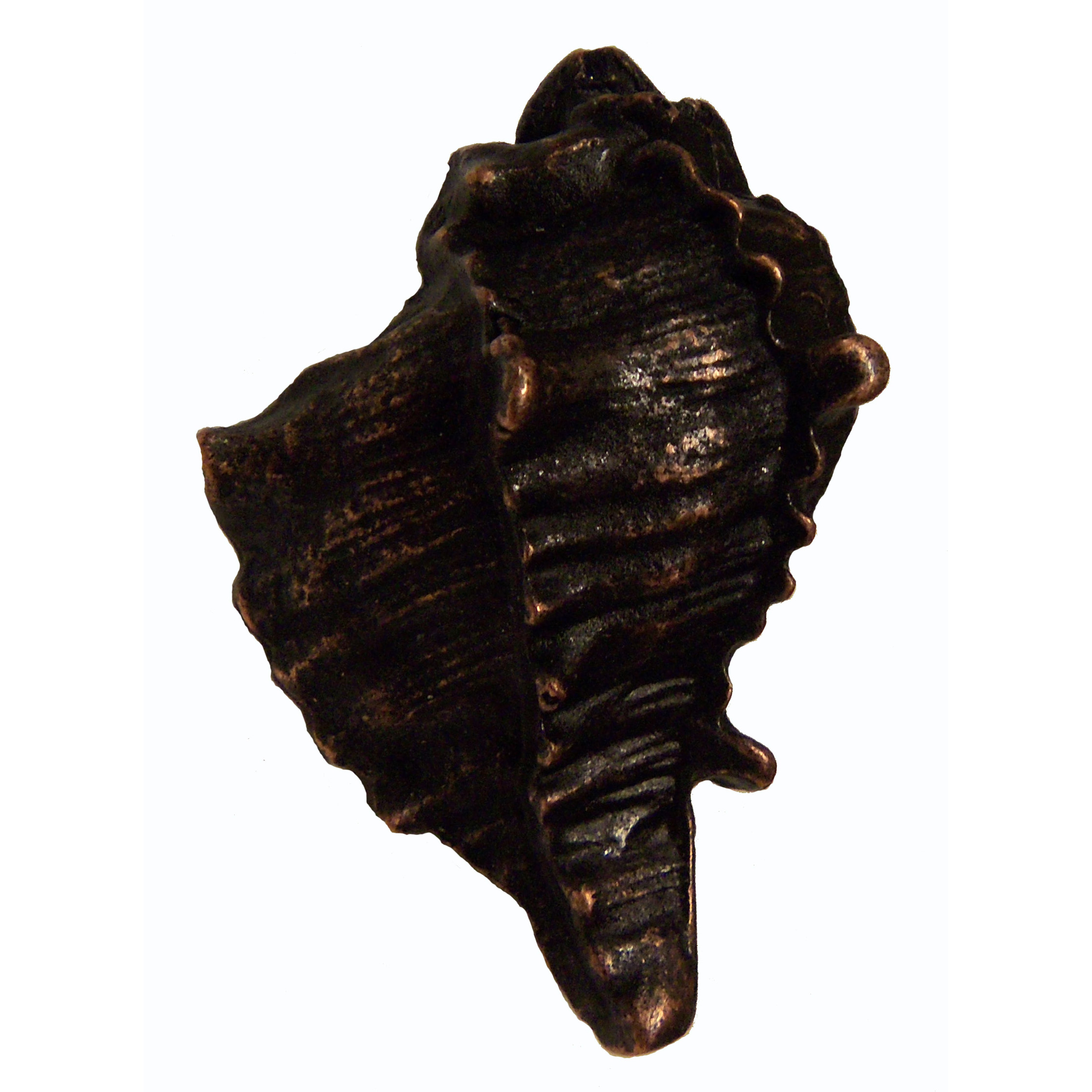 Conch Shell Knob, Oil Rubbed Bronze, Model 355orb
