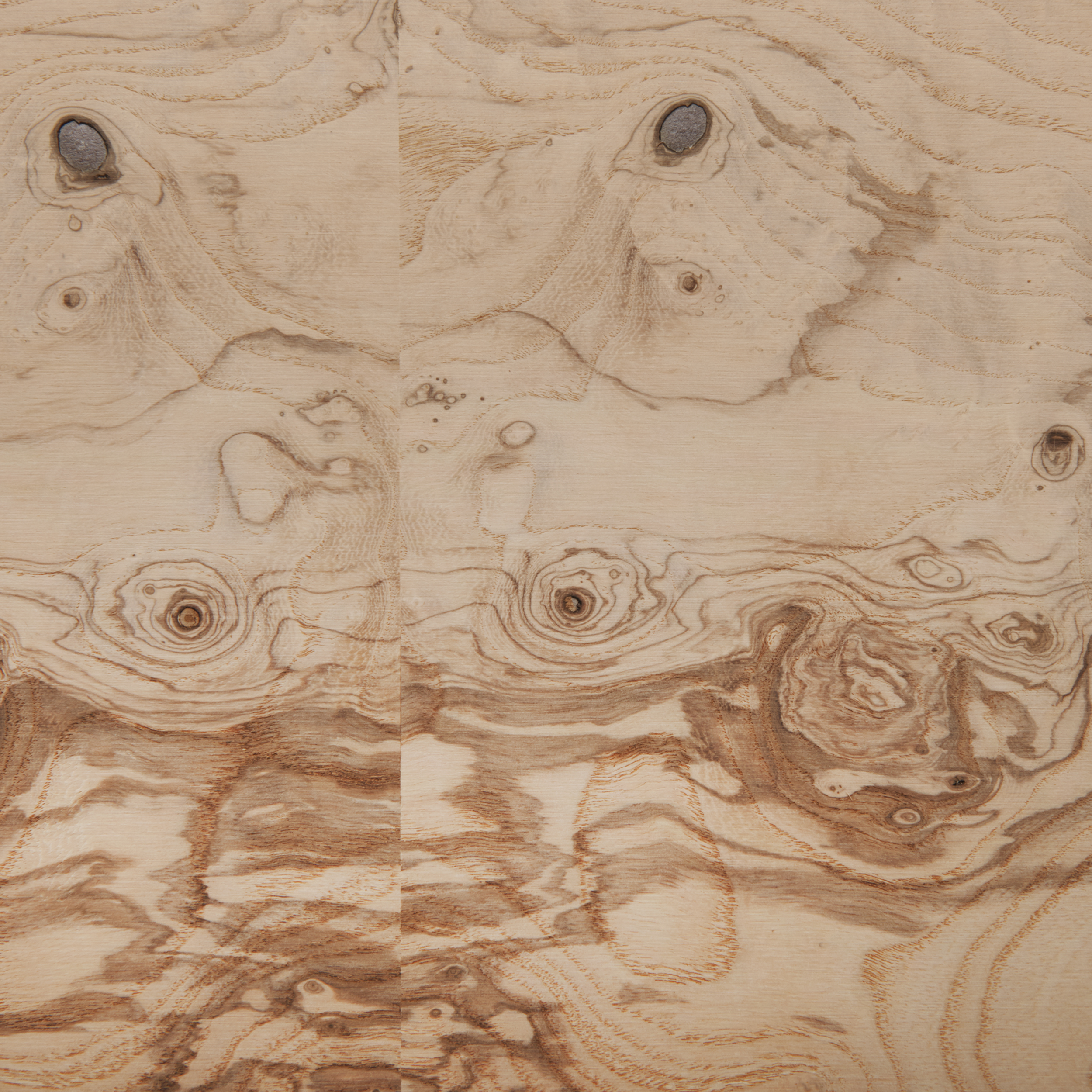 product: Sauers Olive Ash Burl Wood Veneer Sheet - 4' x 8' - 2-Ply Wood on Wood shown