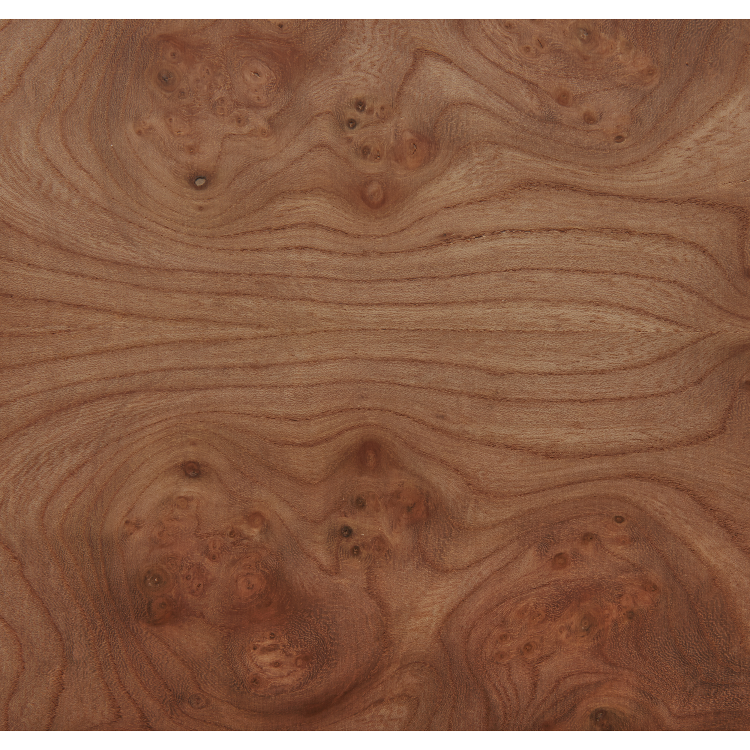 product: Sauers Carpathian Elm Burl Wood Veneer Sheet - 4' x 8' - 2-Ply Wood on Wood shown