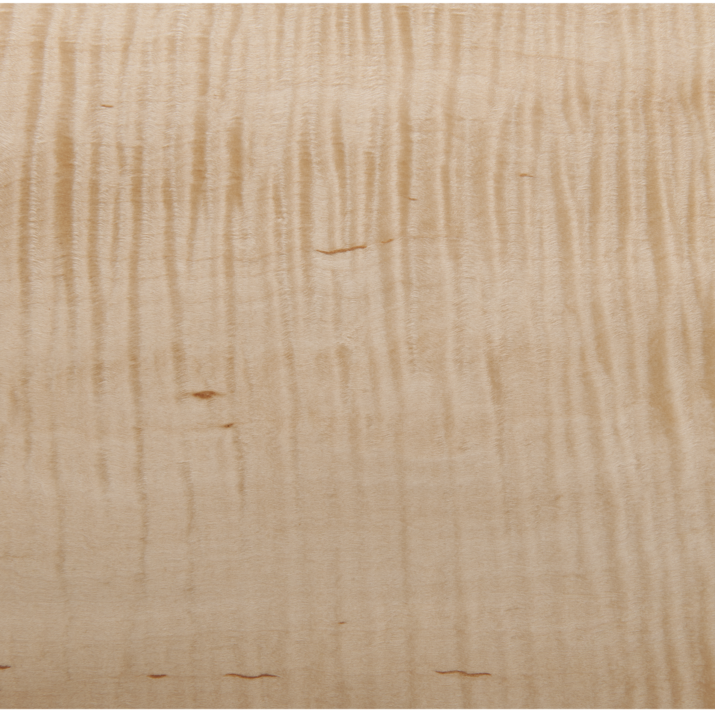 product: Sauers Figured Maple Wood Veneer Sheet - 4' x 8' - Rotary Cut Heavy Curl - 2-Ply Wood on Wood shown