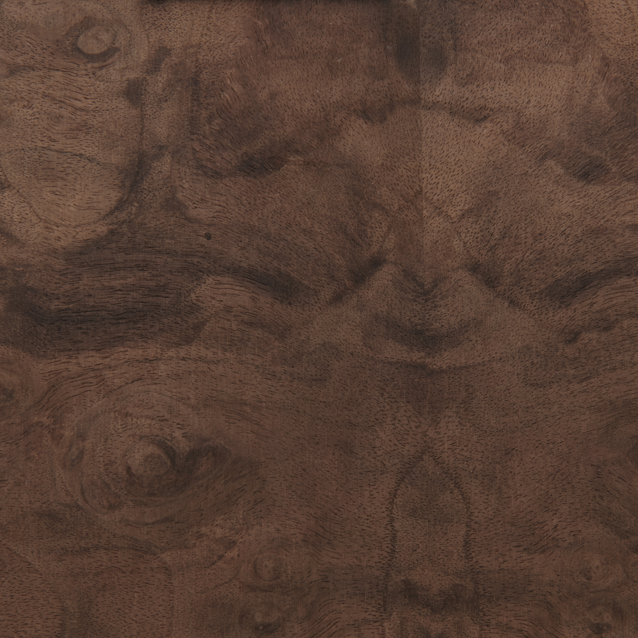 product: Sauers Walnut Burl Wood Veneer Sheet - 4' x 8' - 2-Ply Wood on Wood shown