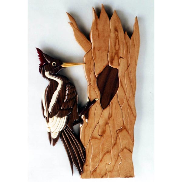 Ivory-billed Woodpecker Intarsia Pattern